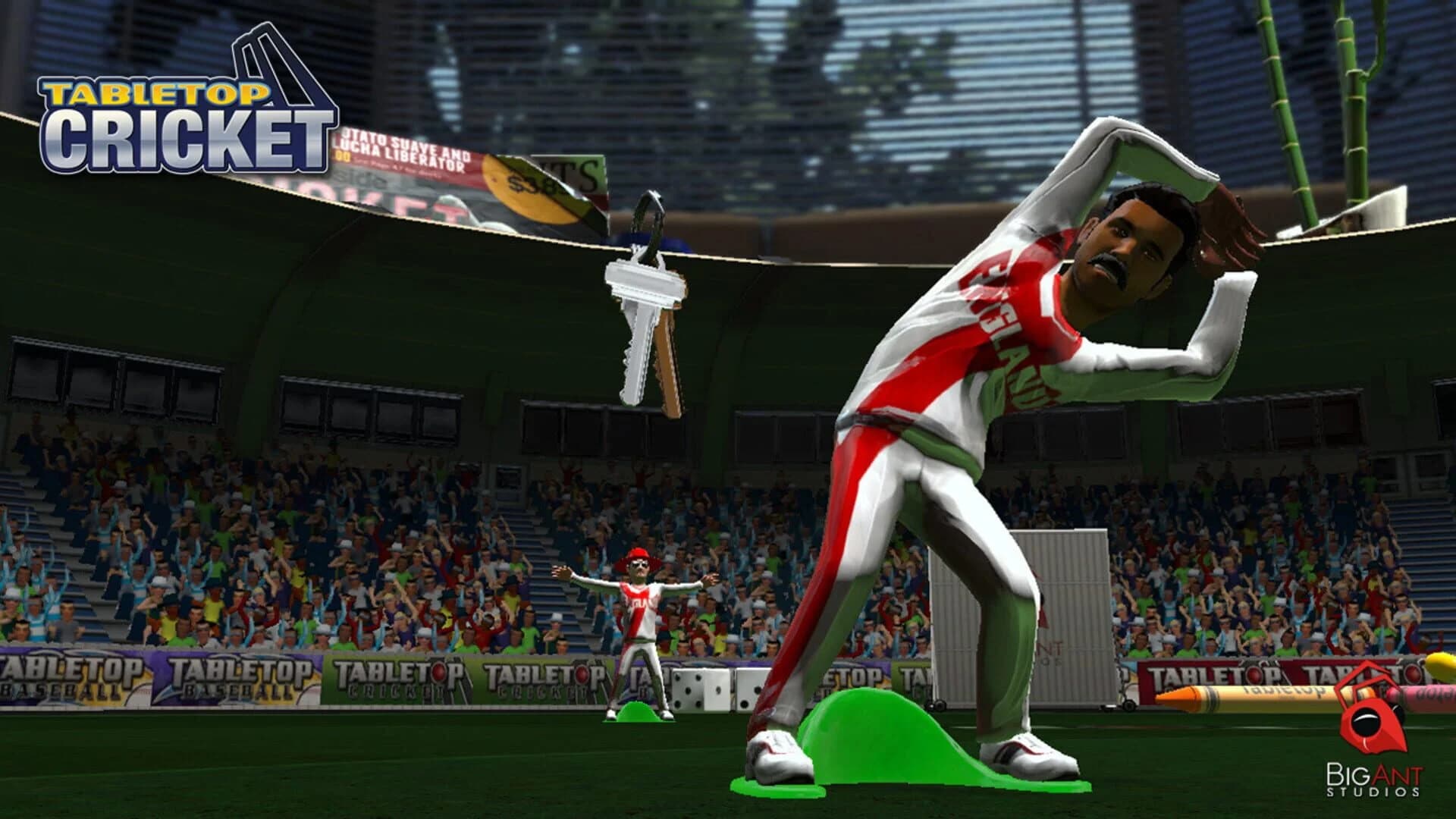 TableTop Cricket screenshot 1