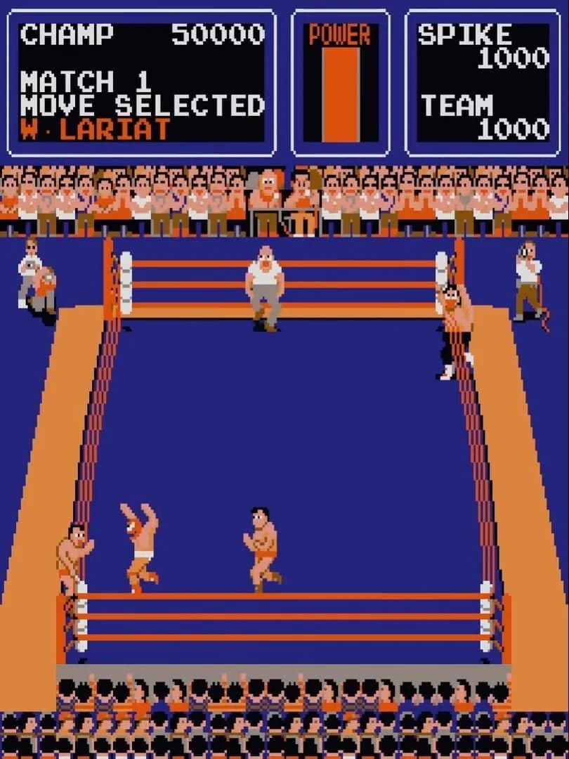 Tag Team Wrestling screenshot 2