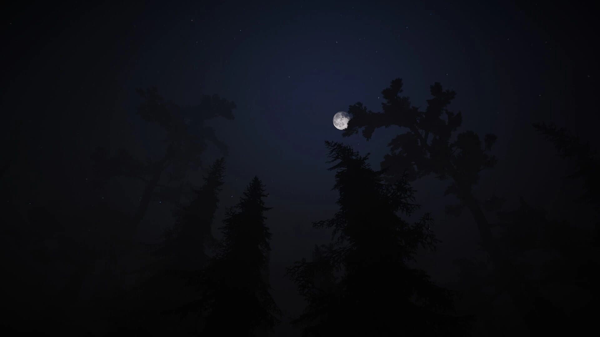 Taiga screenshot 1