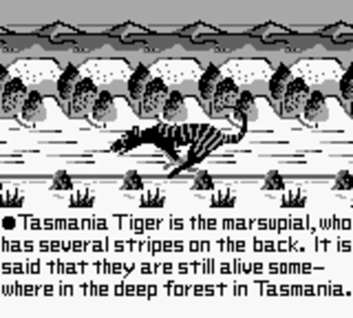 Tasmania Story screenshot 2