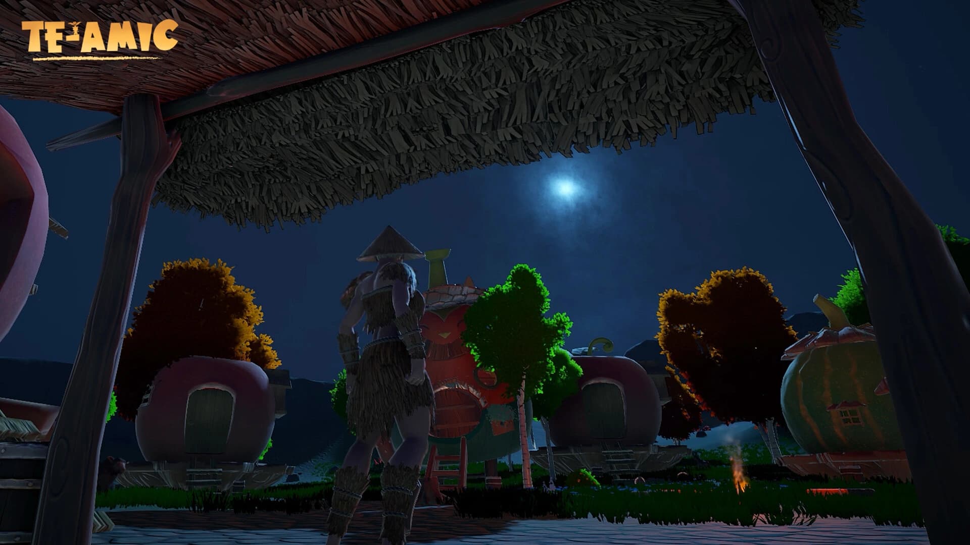 Te-Amic screenshot 2