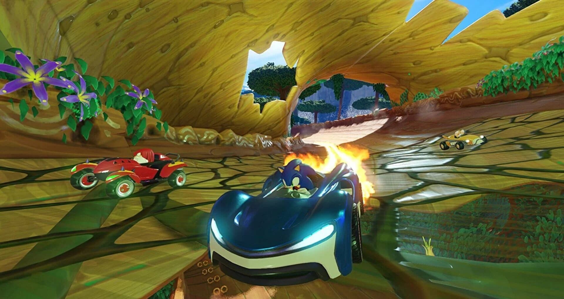 Team Sonic Racing screenshot 2