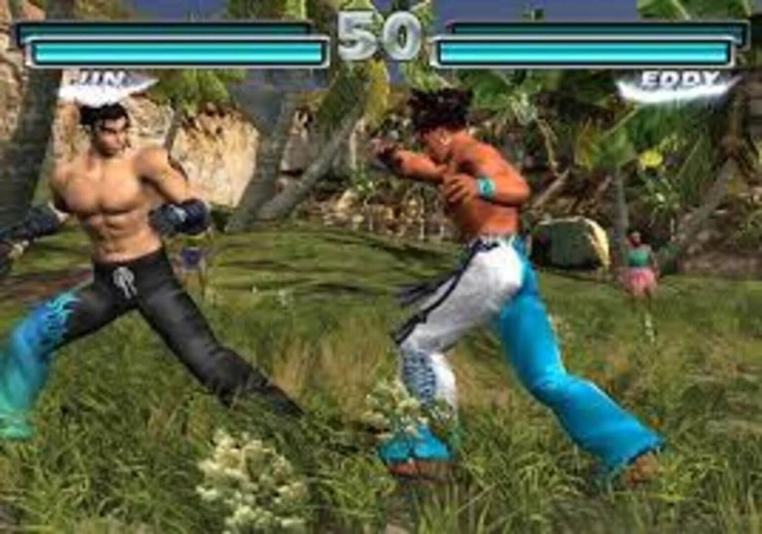 Tekken Tag Tournament screenshot 1
