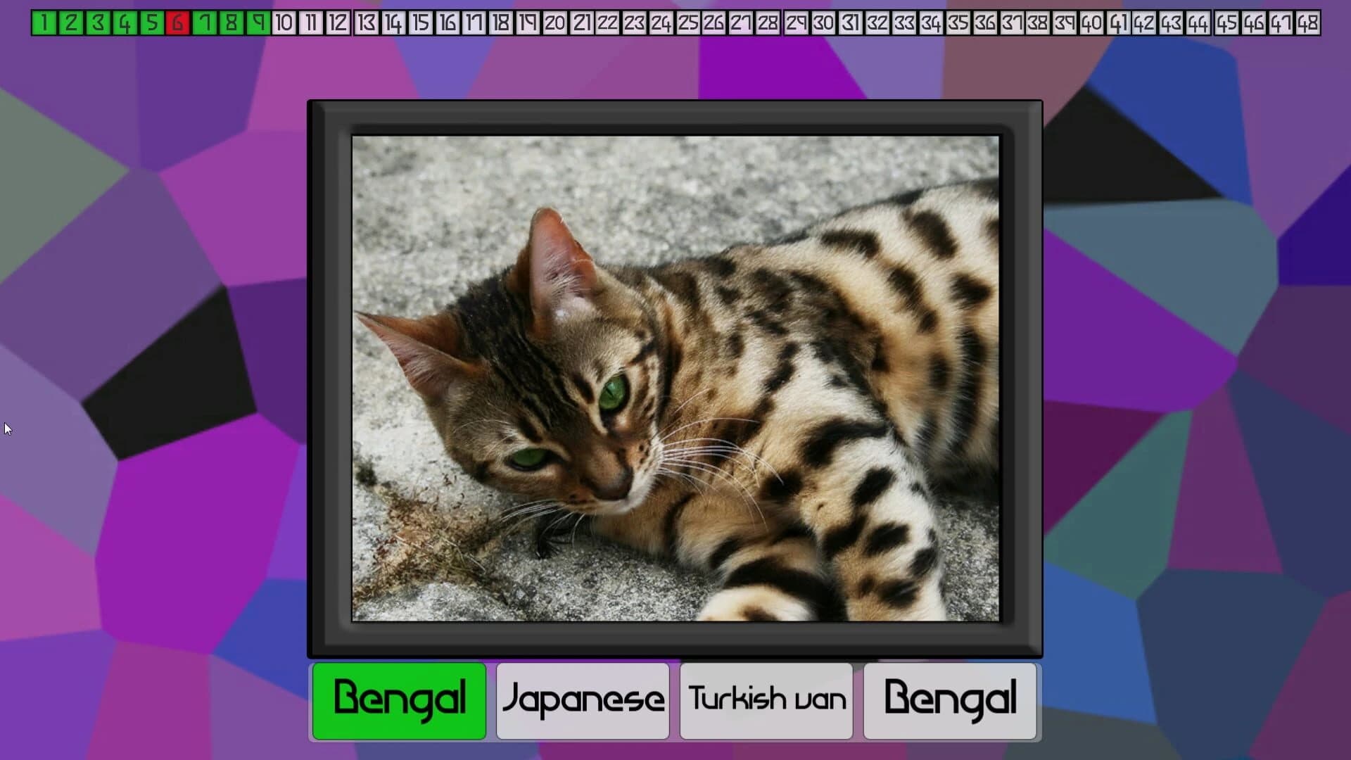Test Your Knowledge: Cats screenshot 2