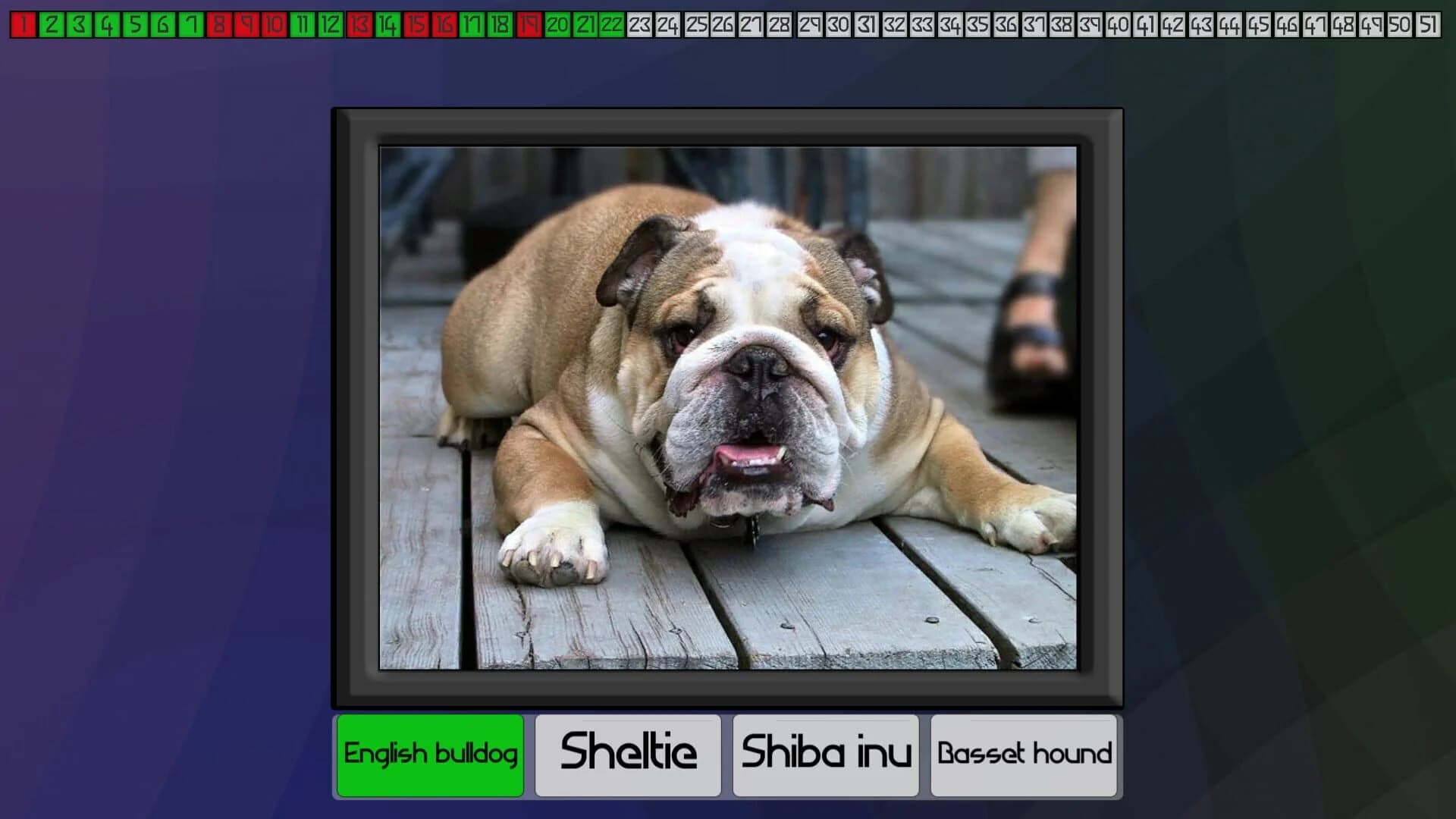 Test your knowledge: Dogs screenshot 1