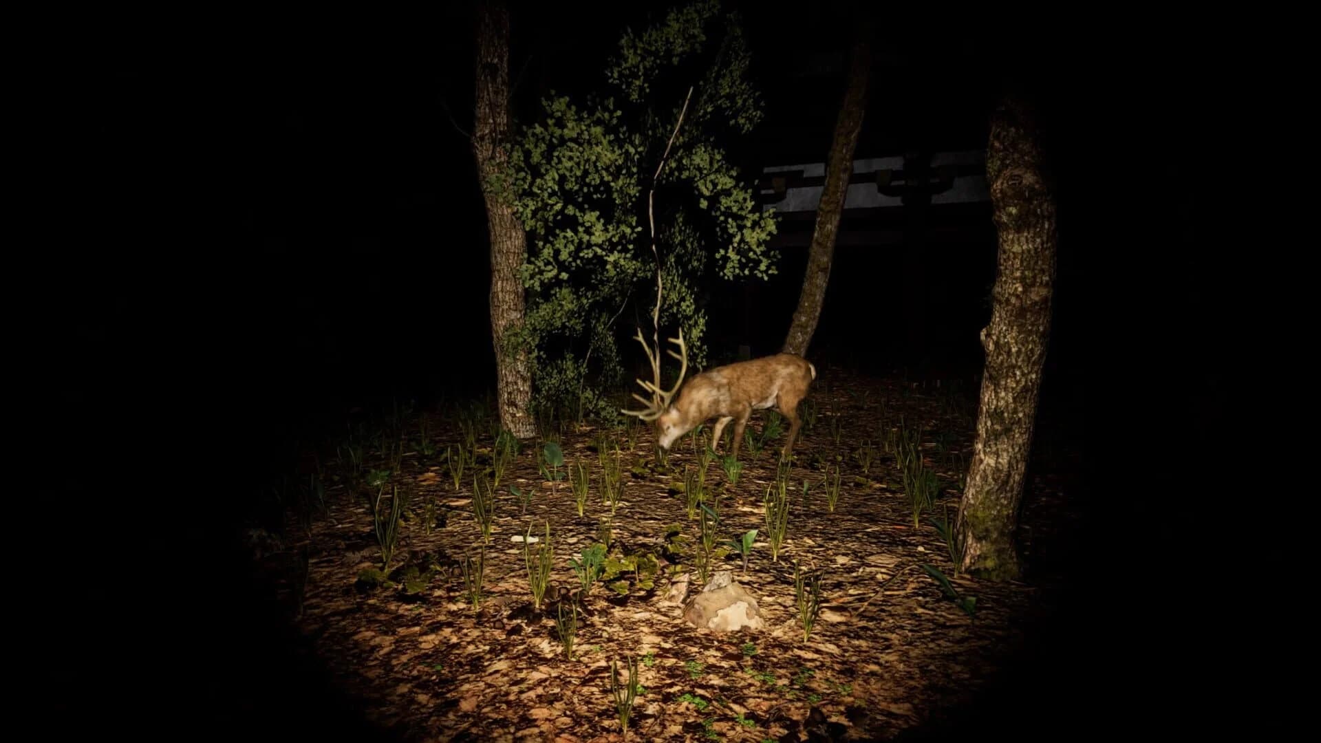 The 9th Station of M.t... screenshot 4