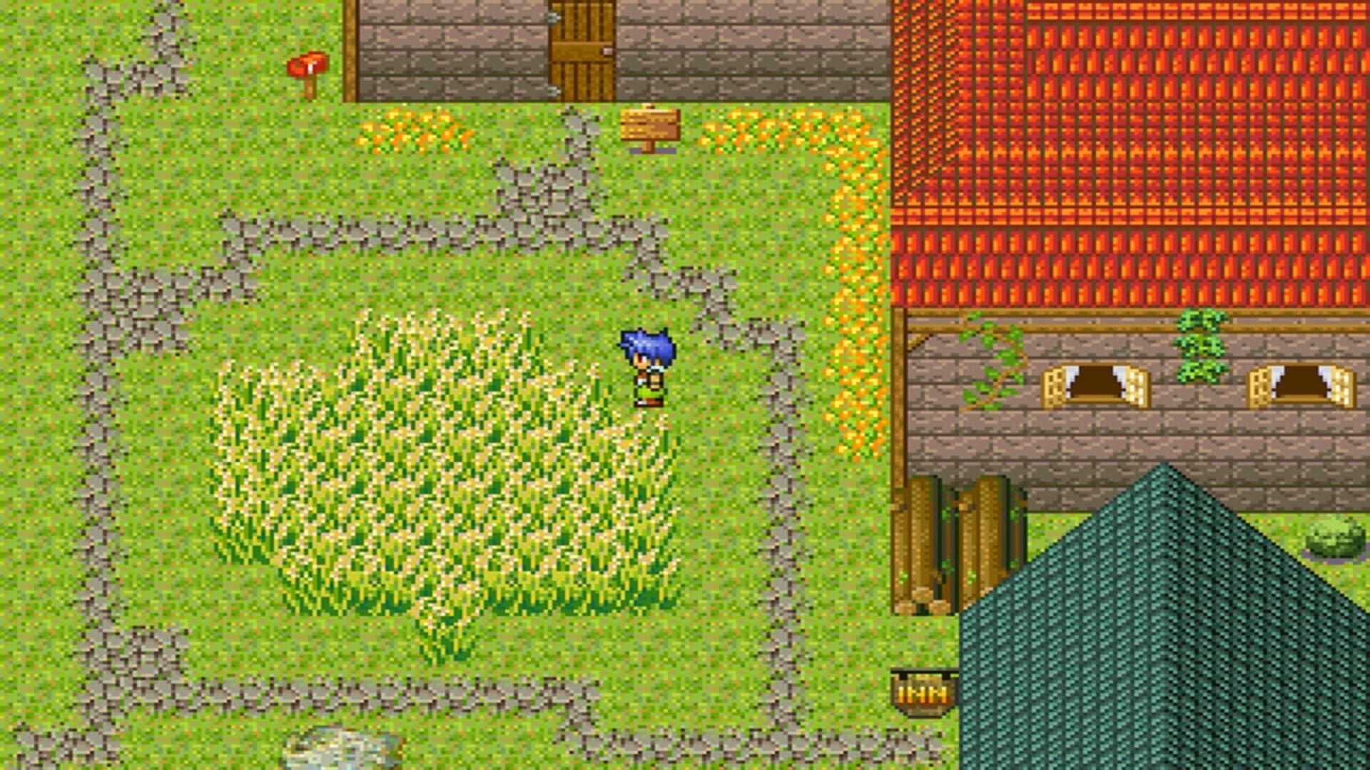 The Birthday screenshot 4