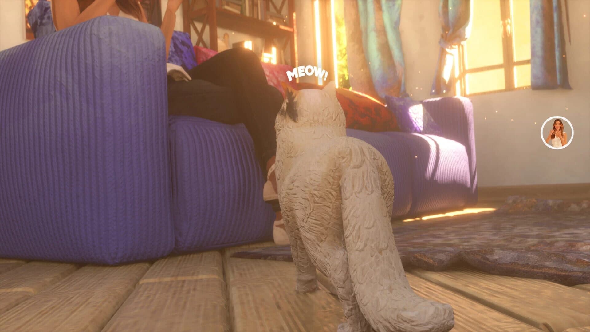The Cat: Tales of Istanbul screenshot 5