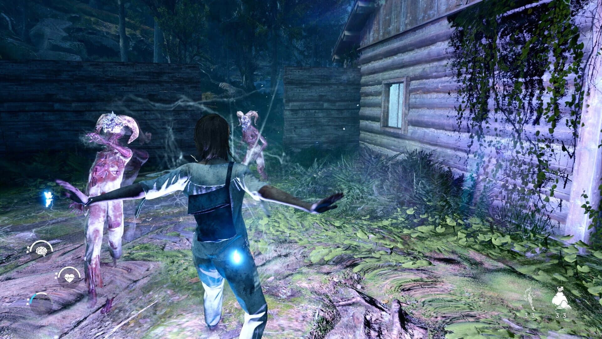 The Chant: Limited Edition screenshot 3