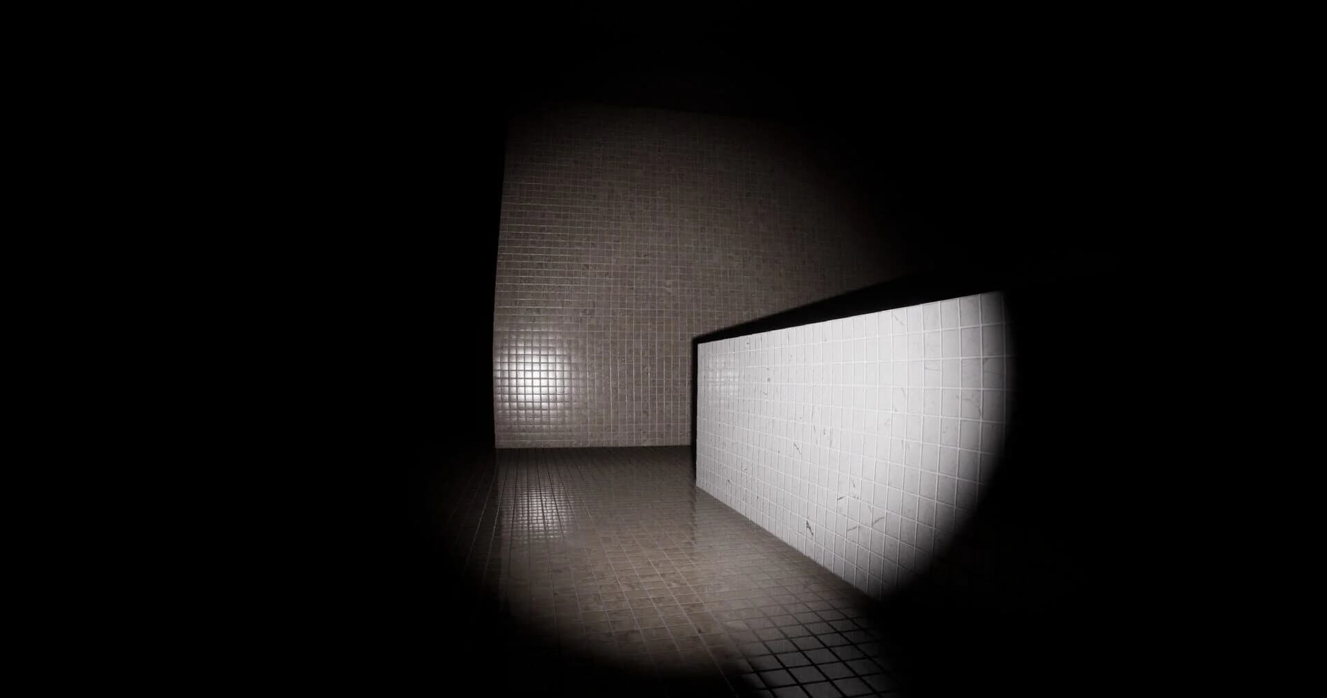 The Curiosity screenshot 3