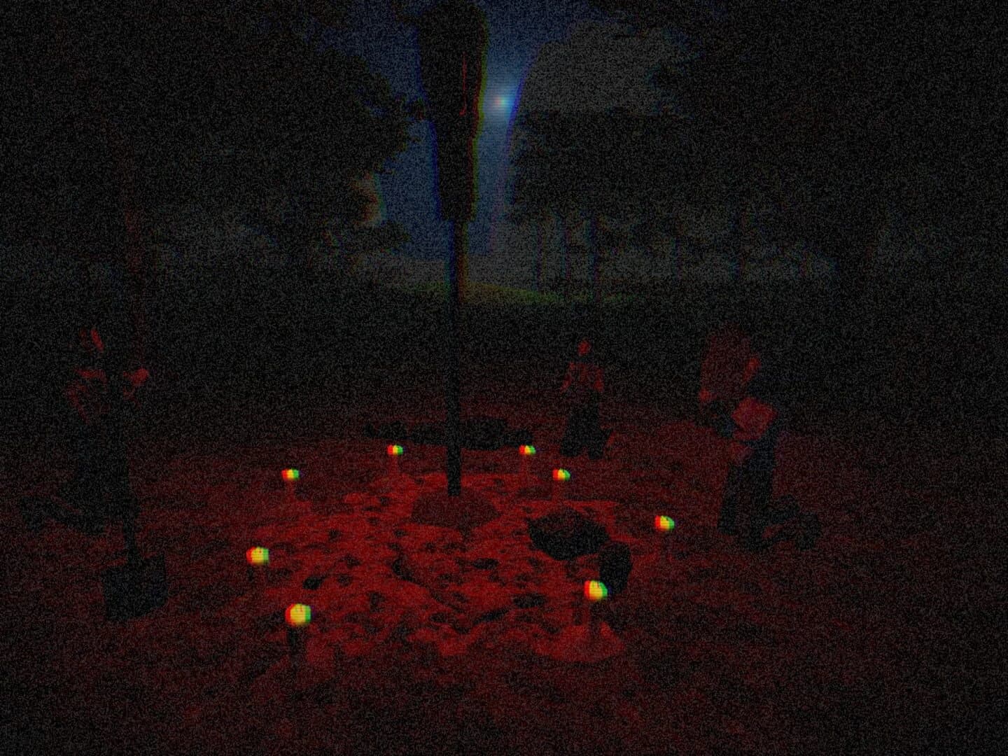 The Cursed Garden screenshot 2