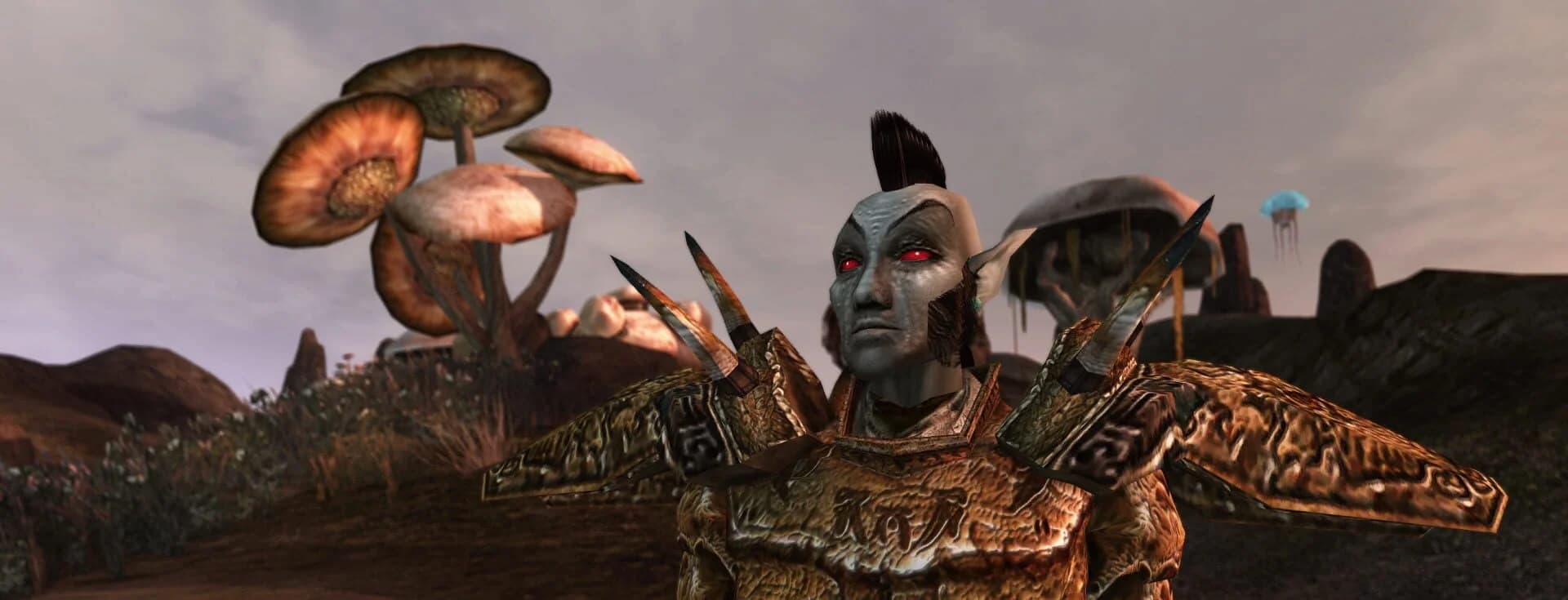 The Elder Scrolls III: Morrowind screenshot 4