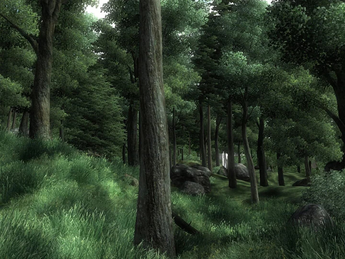 The Elder Scrolls IV: Oblivion screenshot 5