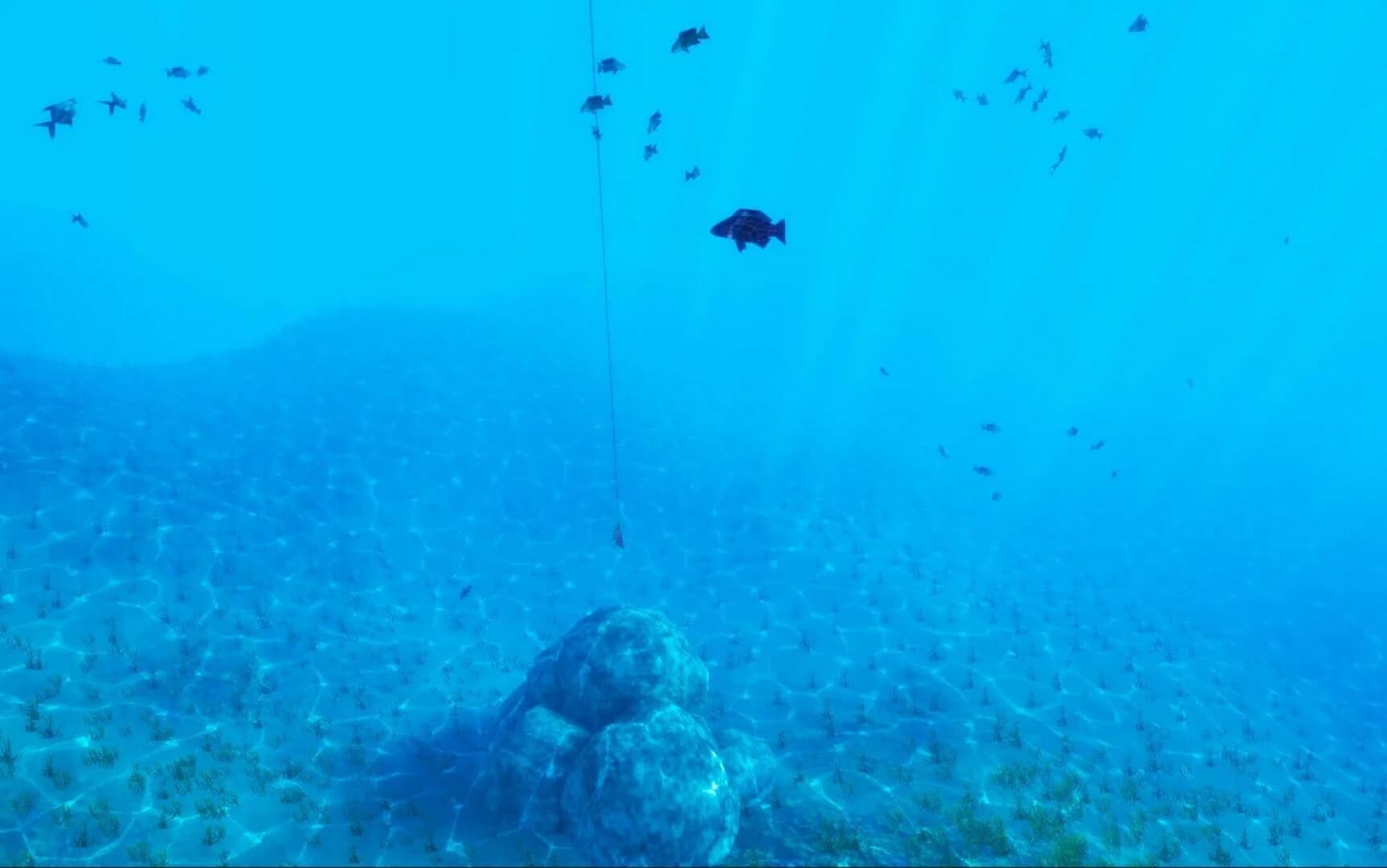 The Fishing Club 3D screenshot 2