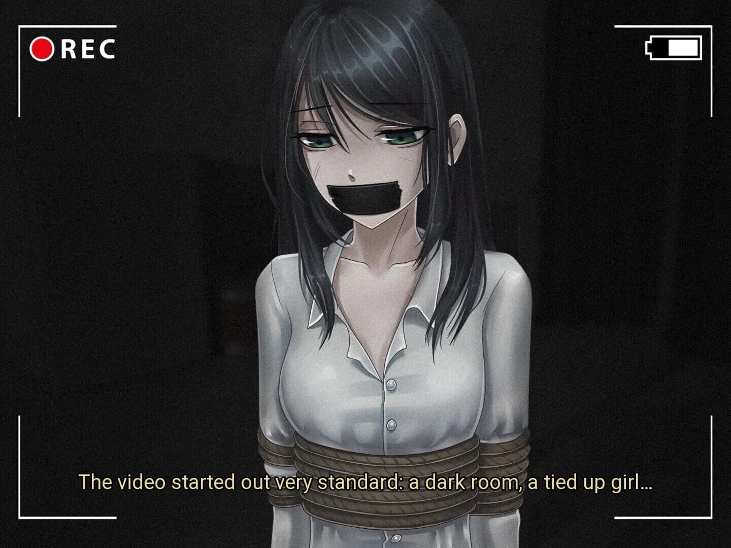 The Girl From the Snuff Video screenshot 1
