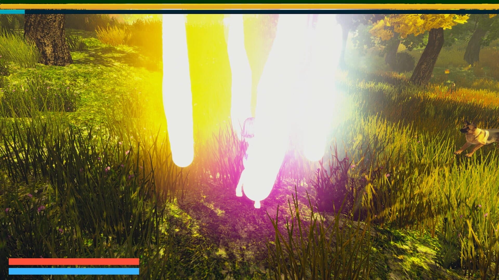 The Golden Girl Pulls and Licks the Dog screenshot 4