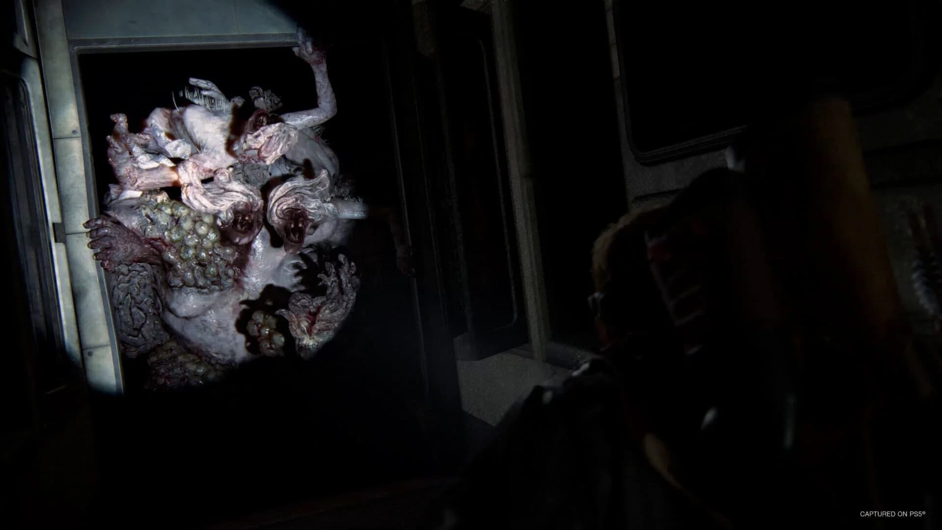 The Last of Us Part II Remastered screenshot 1