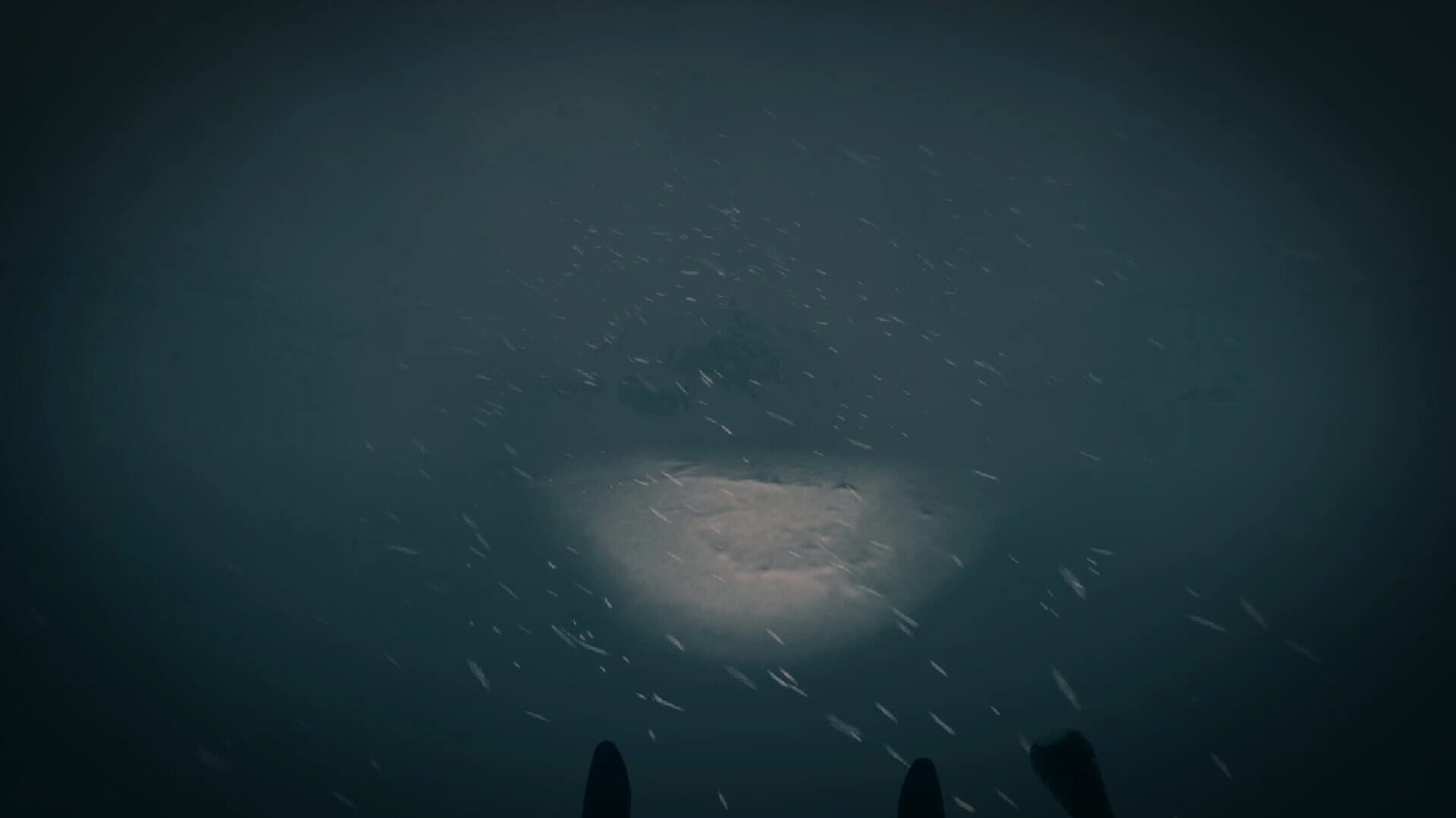 The Last Ski Trip screenshot 3