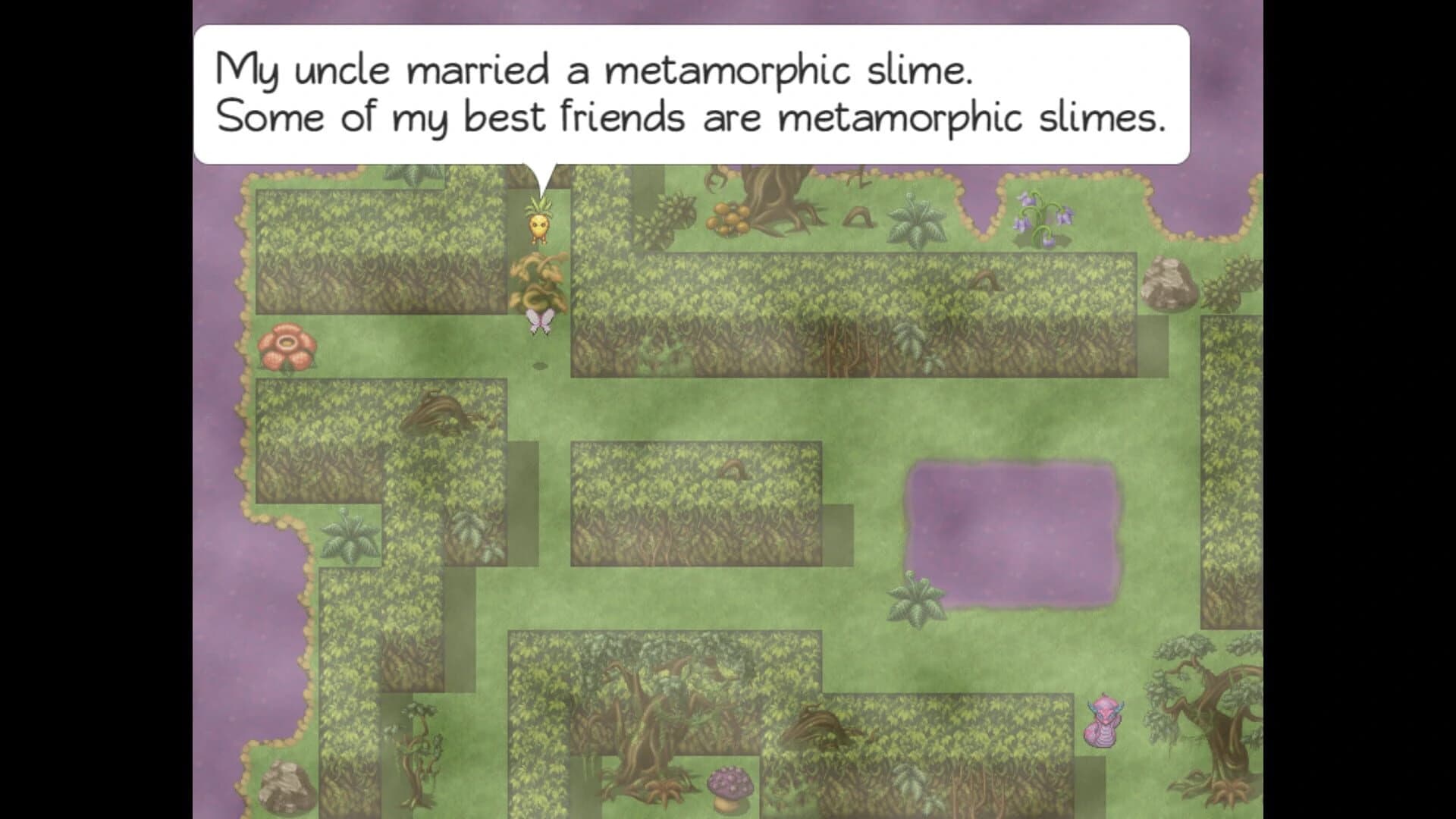 The Legend of Protey screenshot 3
