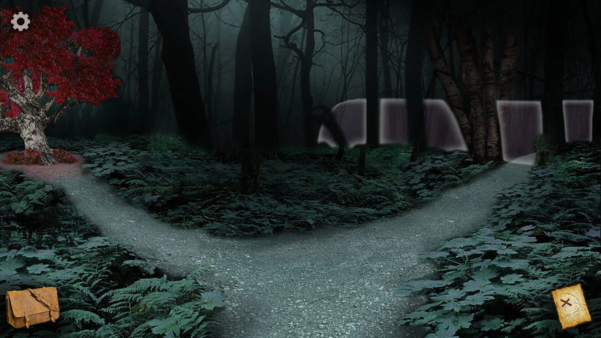 The Mystery of Blackthorn Castle 2 screenshot 4