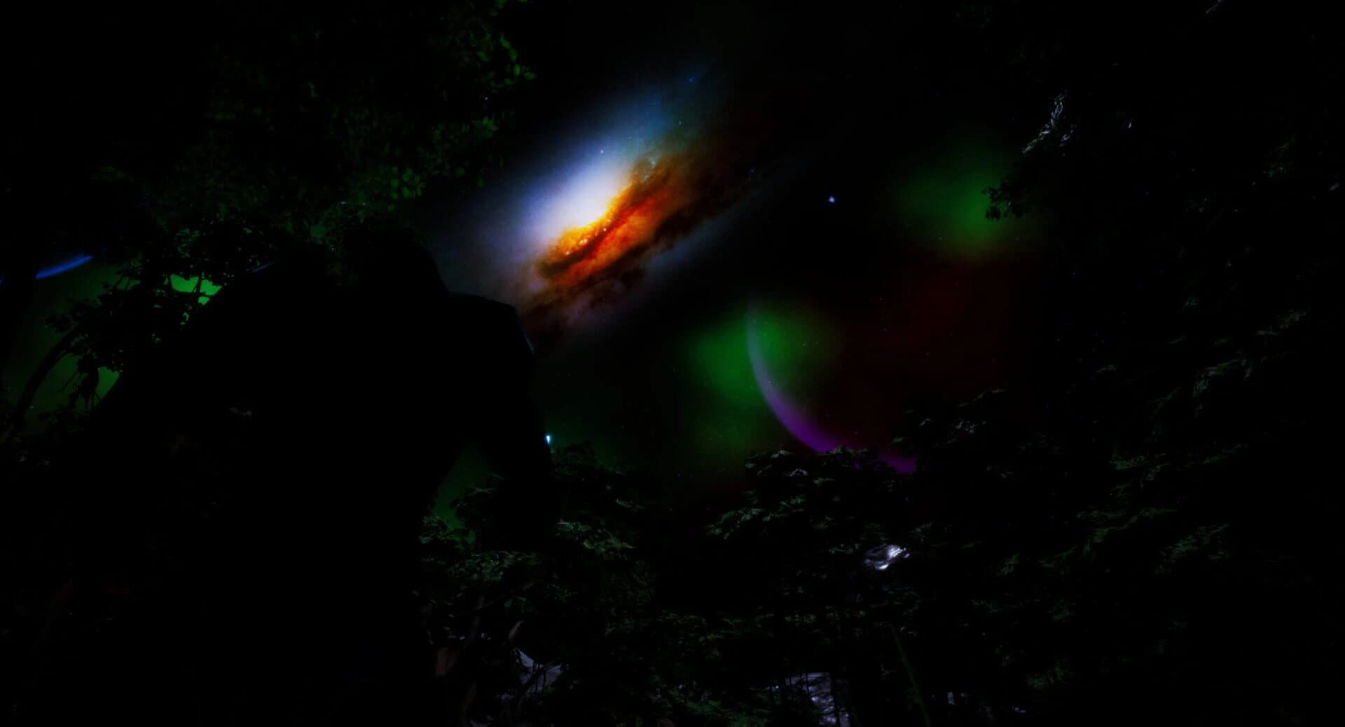 The Original Wizard screenshot 1