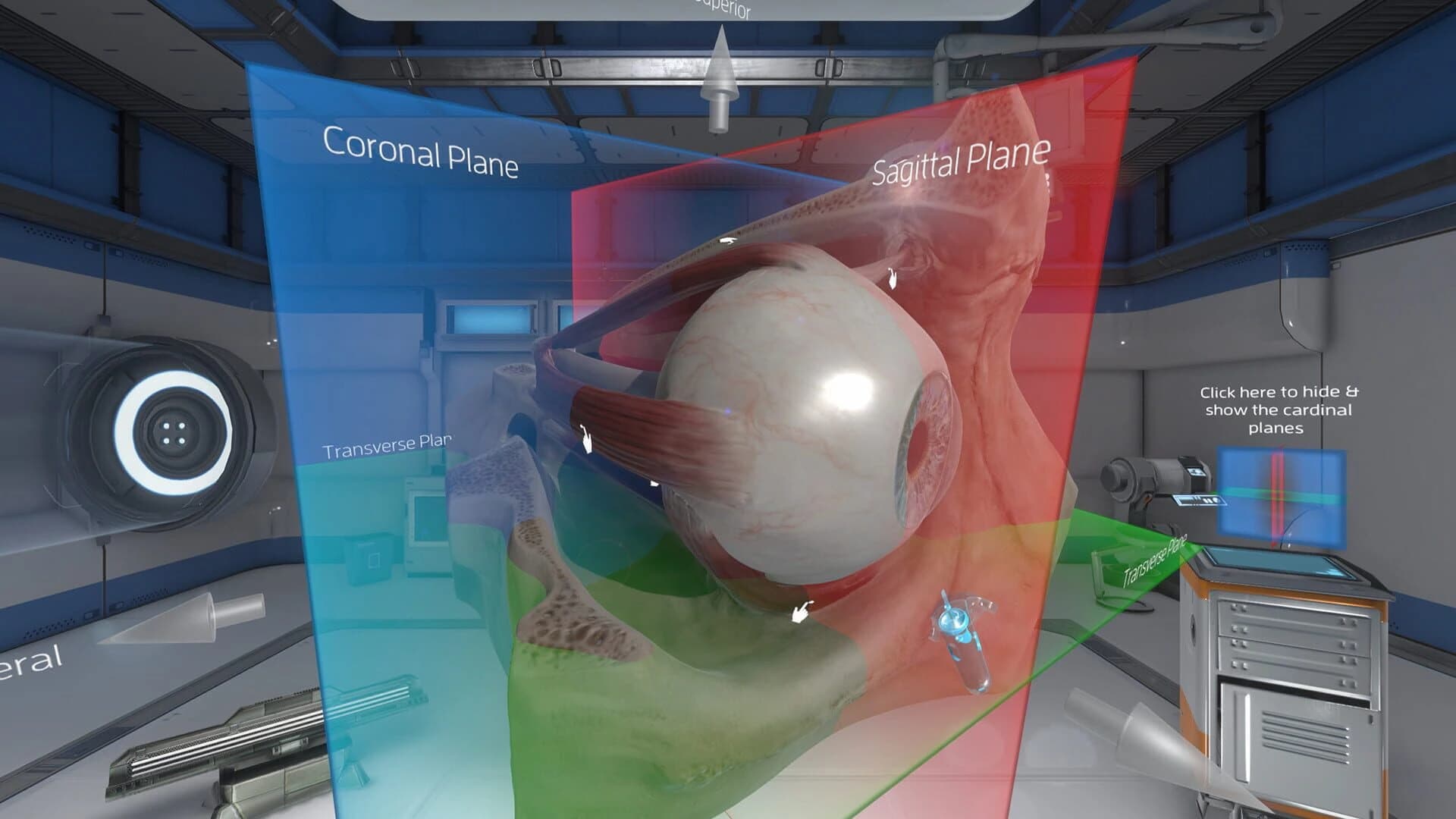The Physiology of the Eye screenshot 3