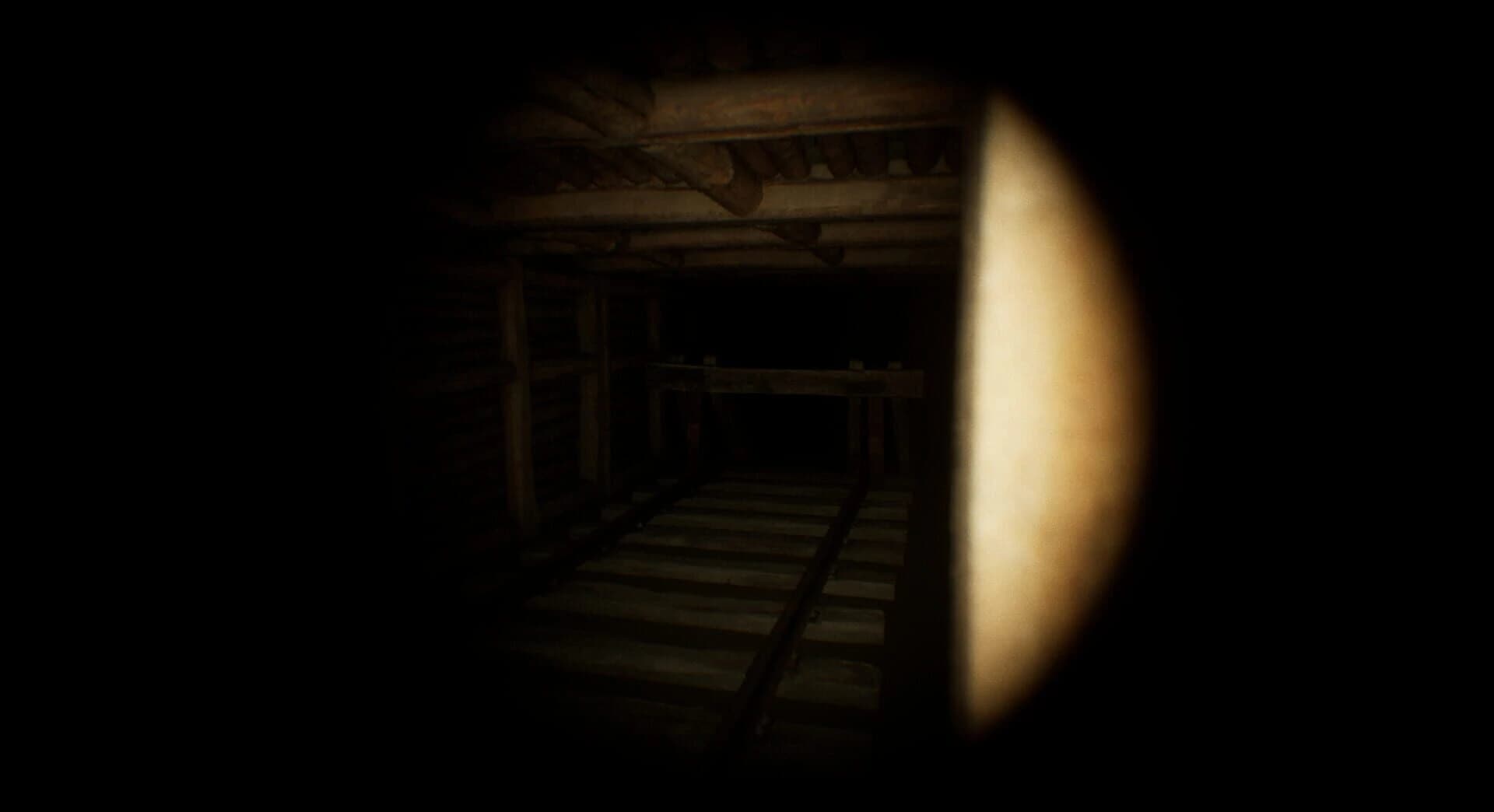 The Protagonist screenshot 3
