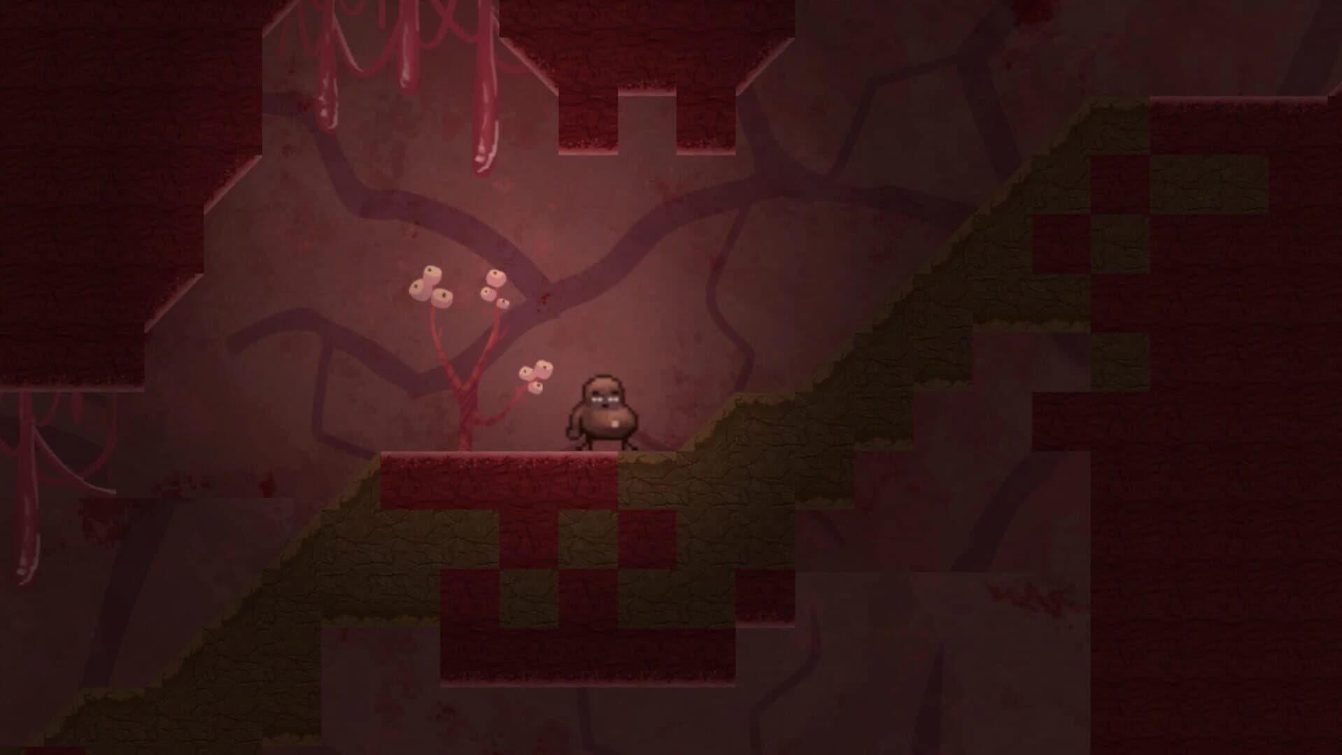 The Runaway Feijoao screenshot 4