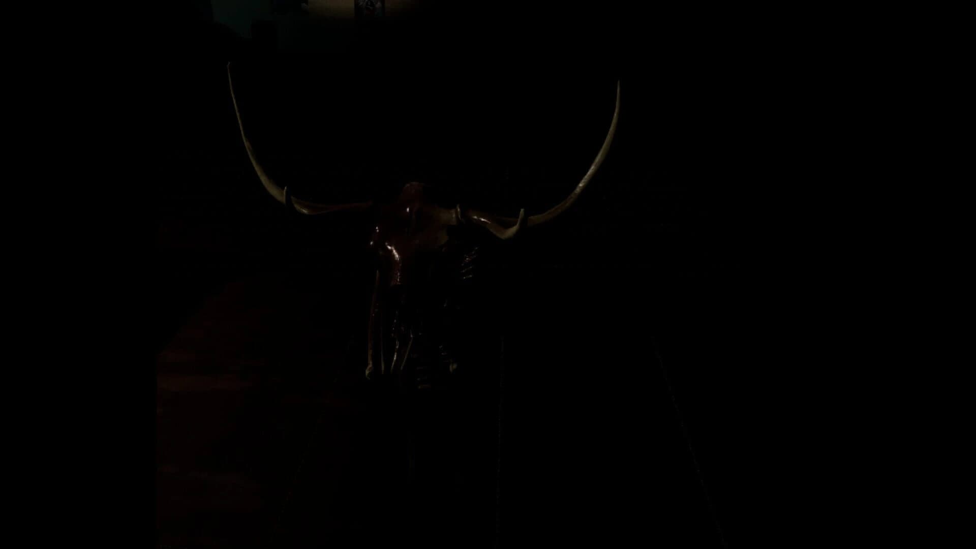 The Scream of Darkness screenshot 1