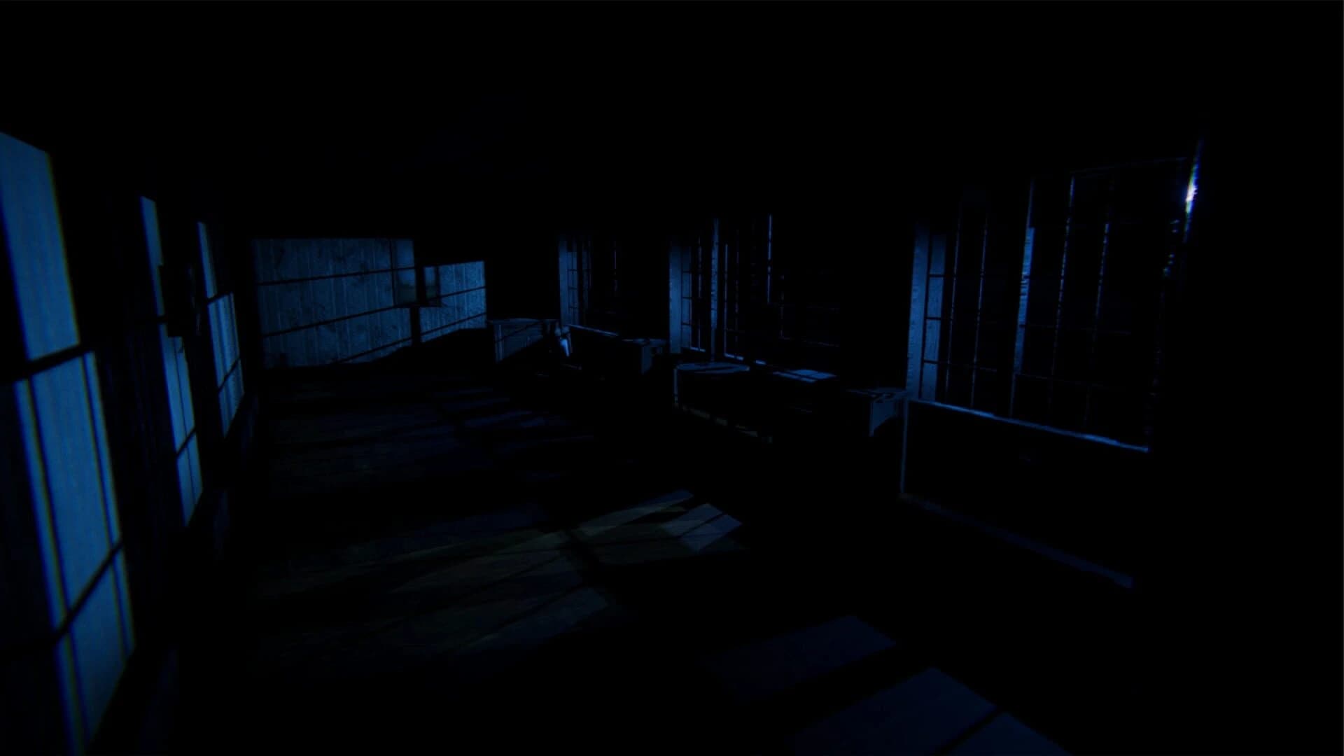The Secret Story 1996 screenshot 4