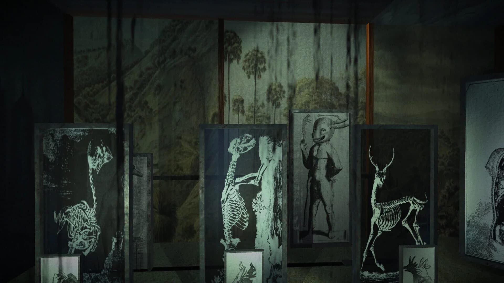 The Shape on the Ground screenshot 4