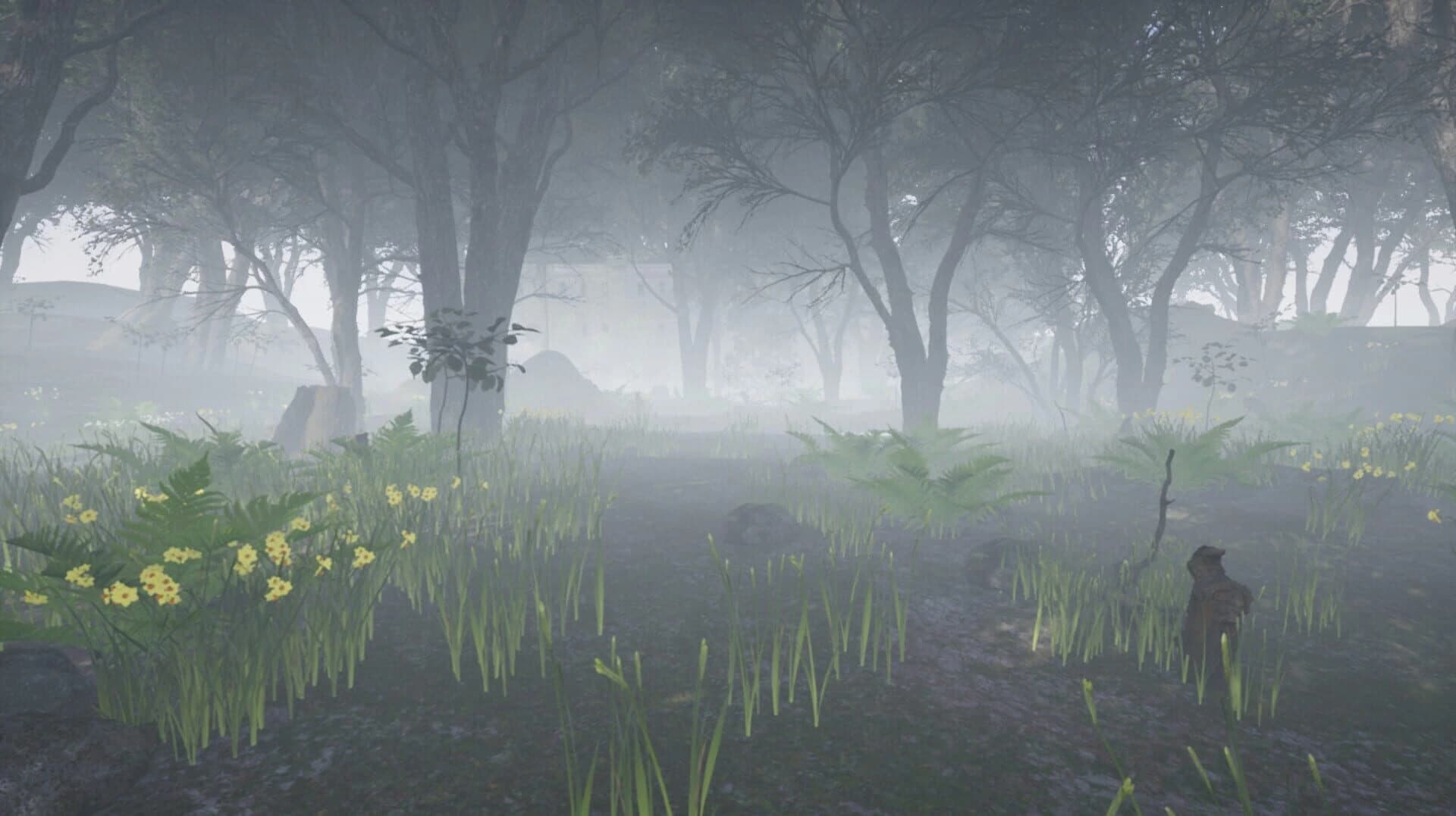 The Shelter of Patient screenshot 2