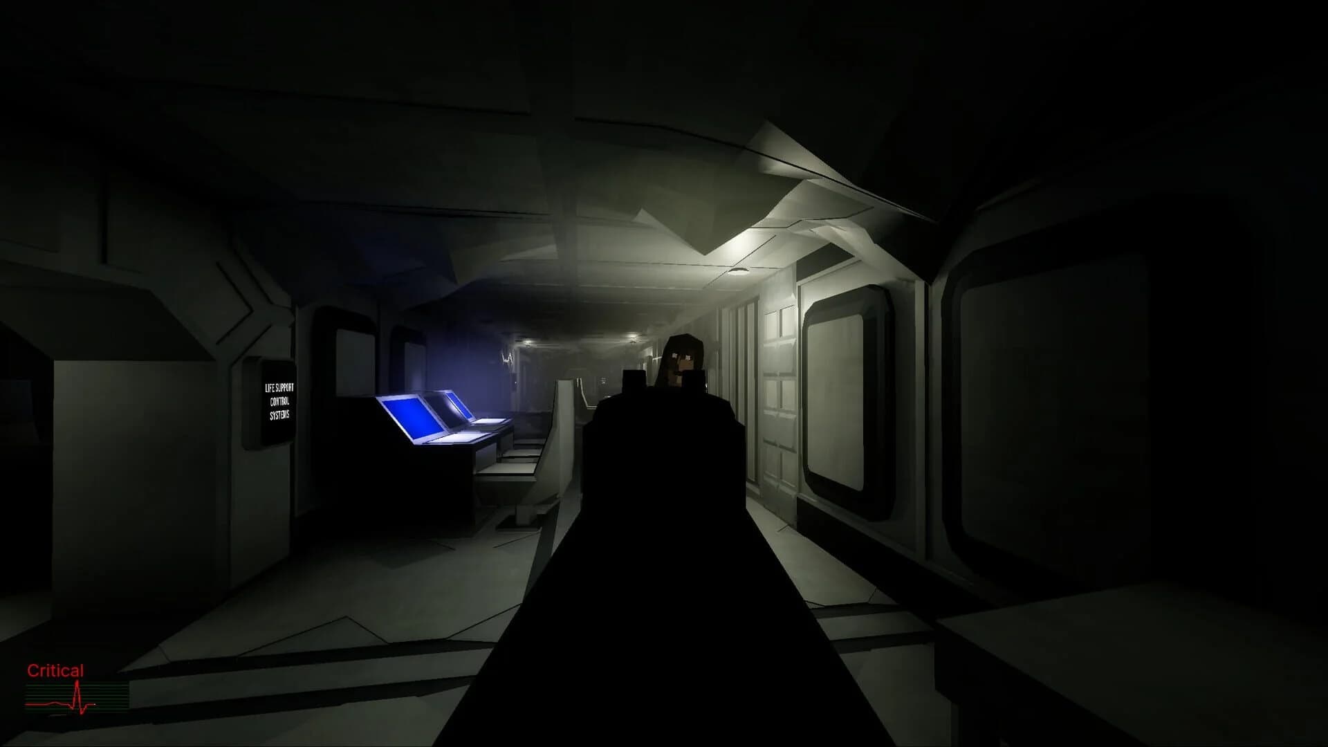 The SS Destiny Disaster screenshot 1