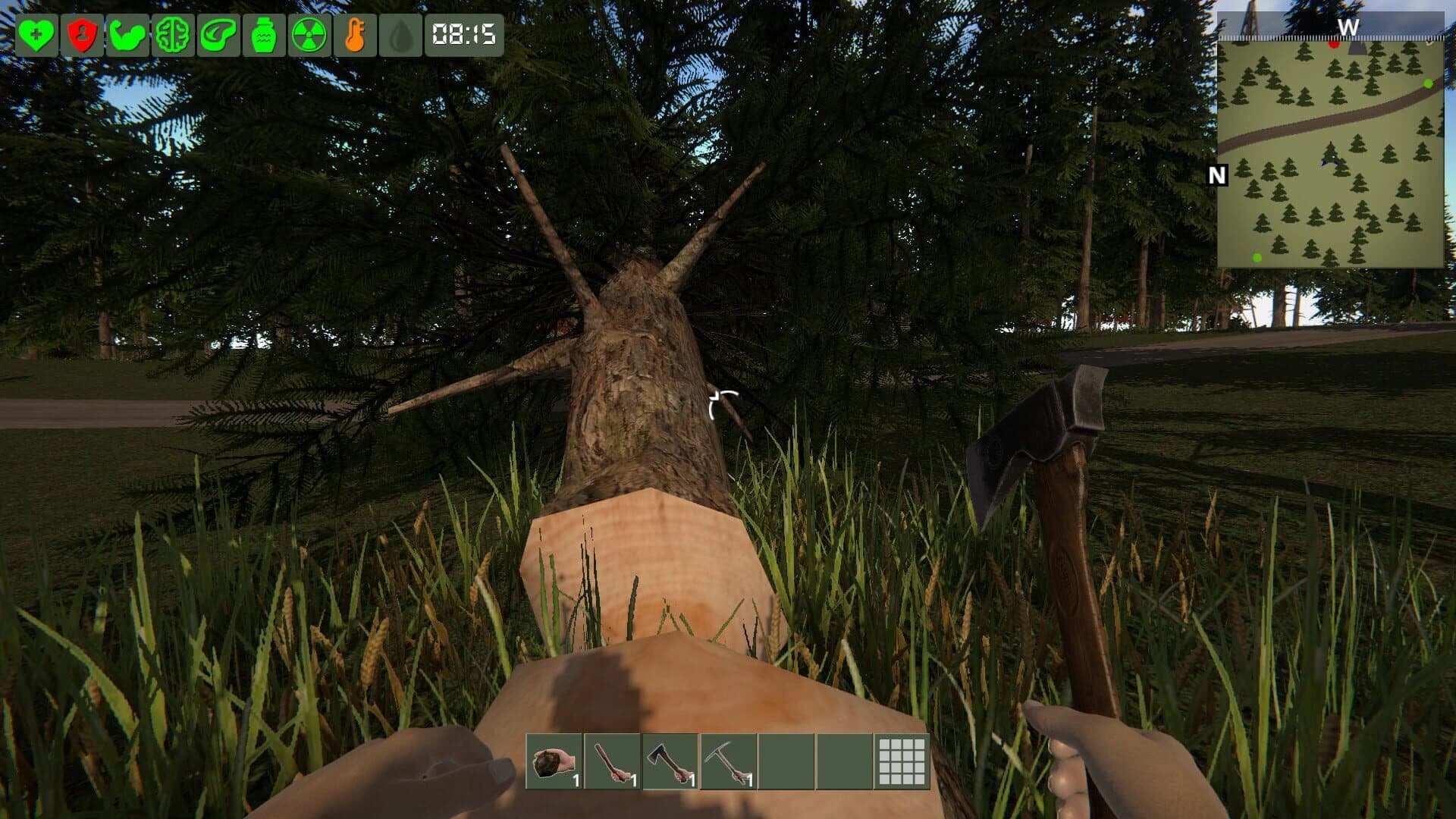 The Survivor screenshot 2
