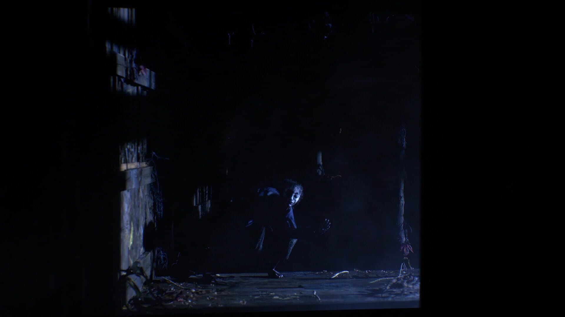 The Twilight Project screenshot 3