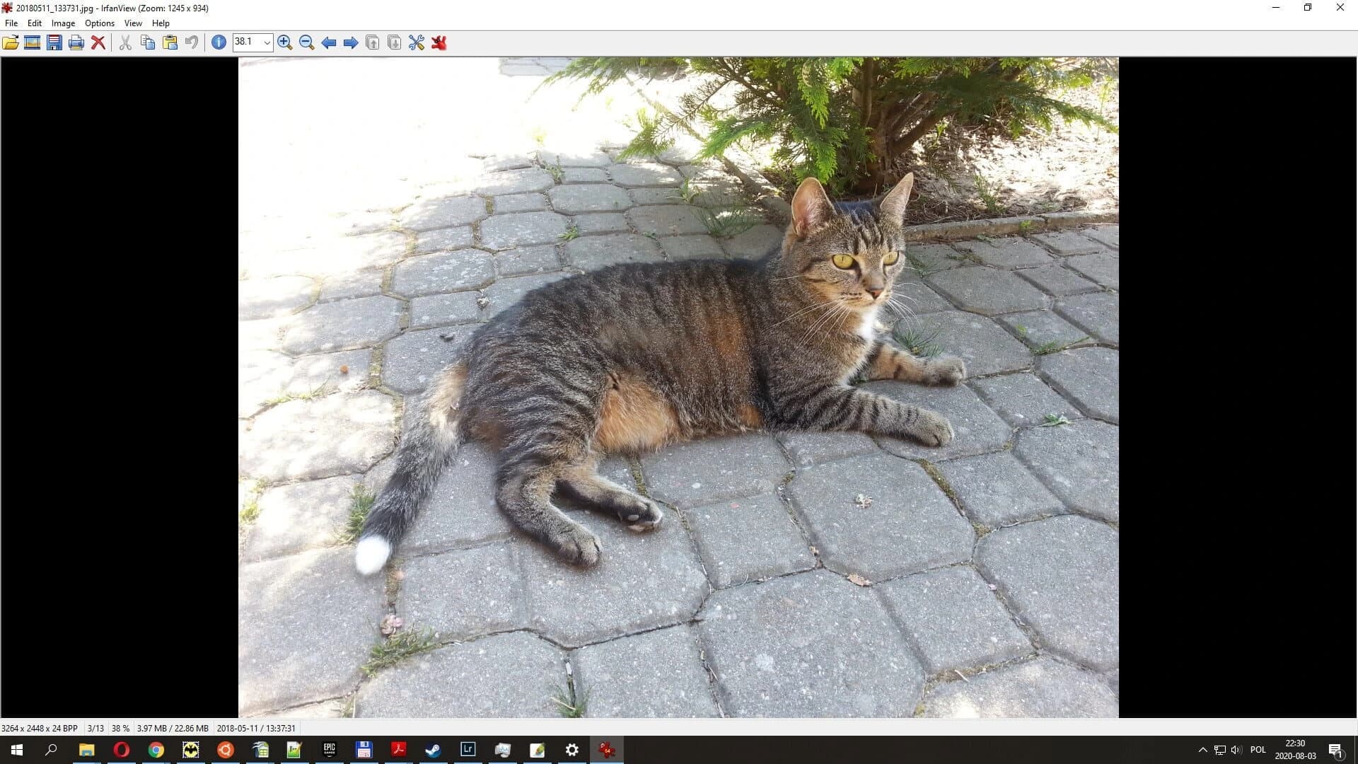 The USB Stick Found in the Grass screenshot 1