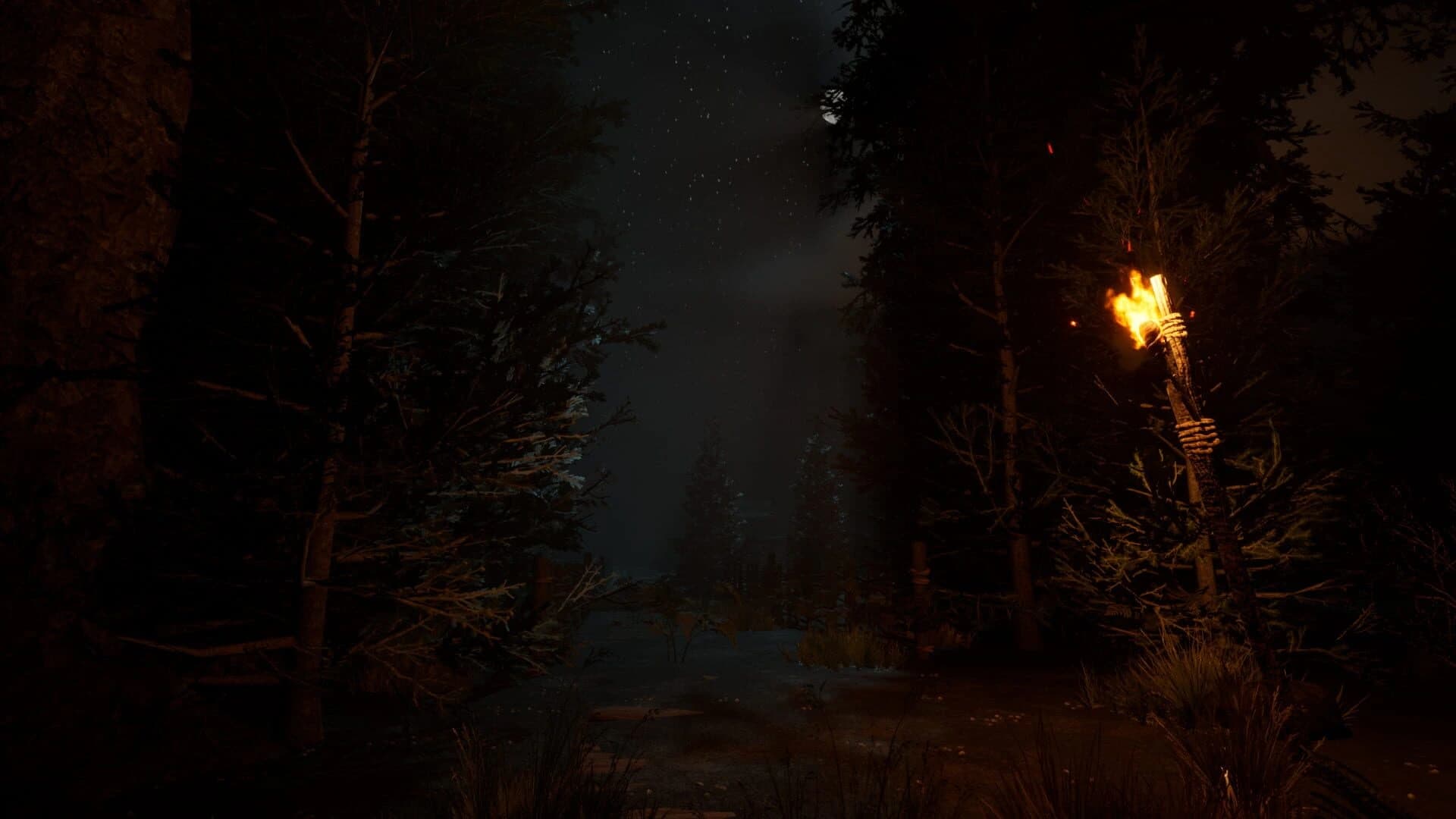 The Veil of the Forgotten screenshot 2