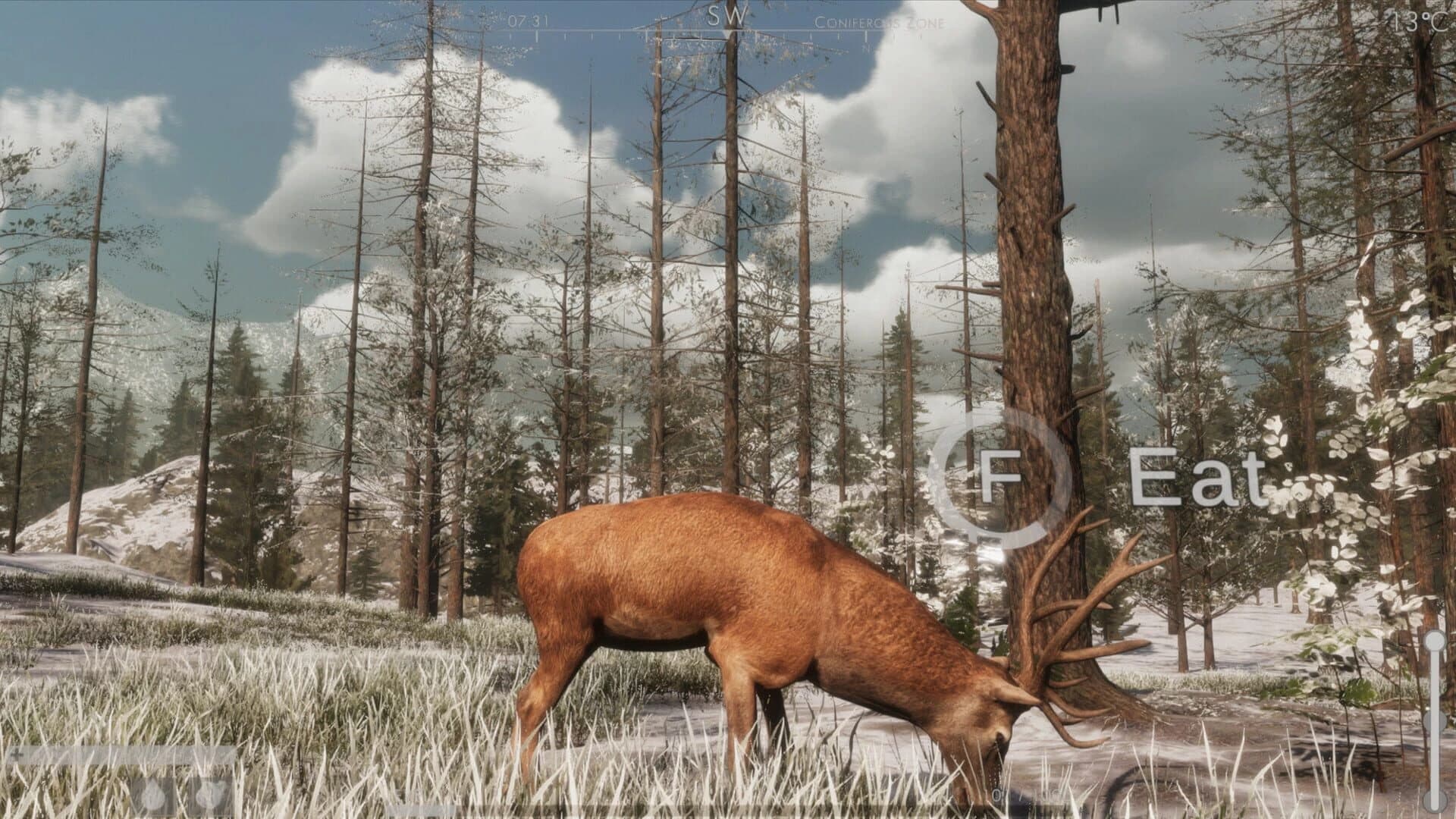 The Wilds screenshot 2