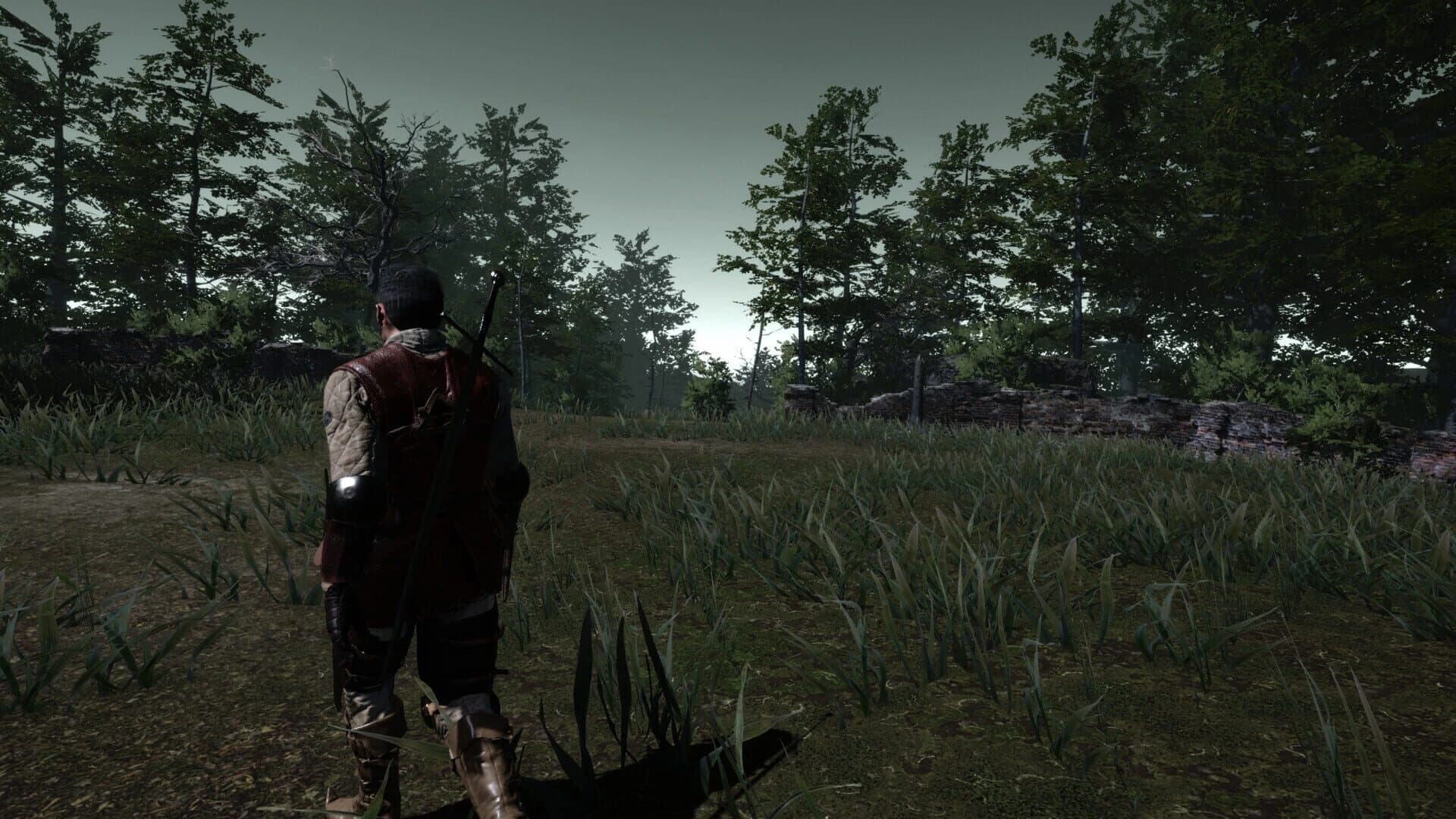 The Witch's Redemption screenshot 3