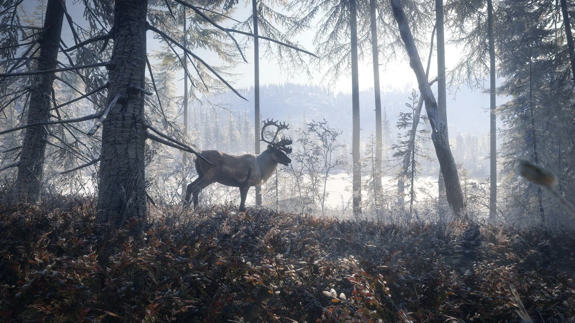 TheHunter: Call of the Wild - 2019 Edition screenshot 3