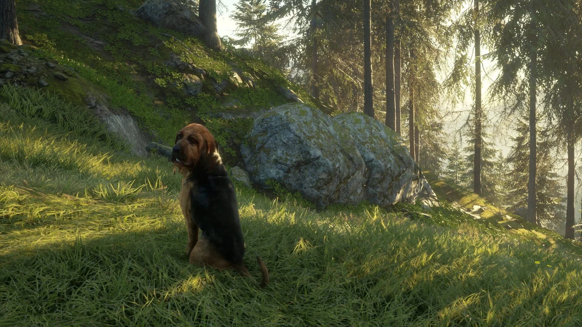 TheHunter: Call of the Wild - Bloodhound screenshot 5