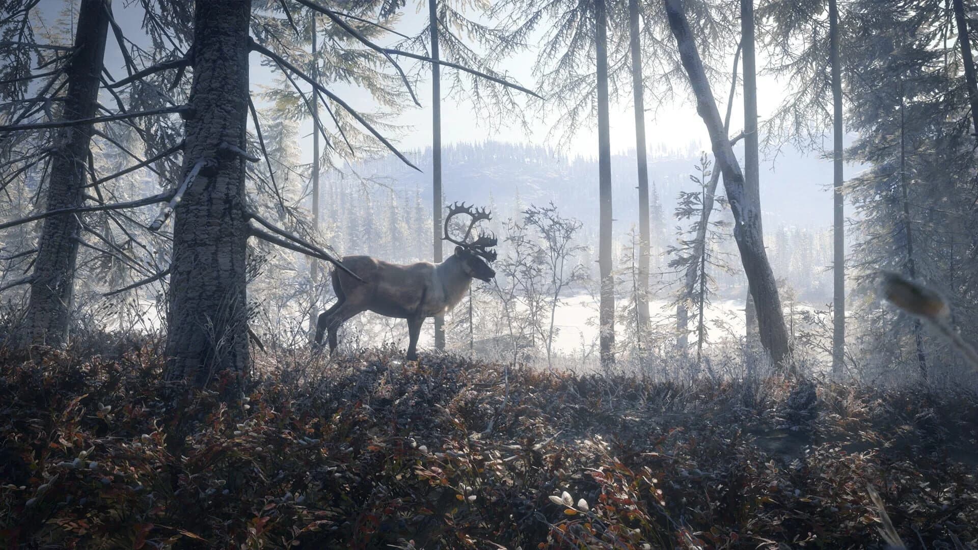 TheHunter: Call of the Wild - Medved-Taiga screenshot 4