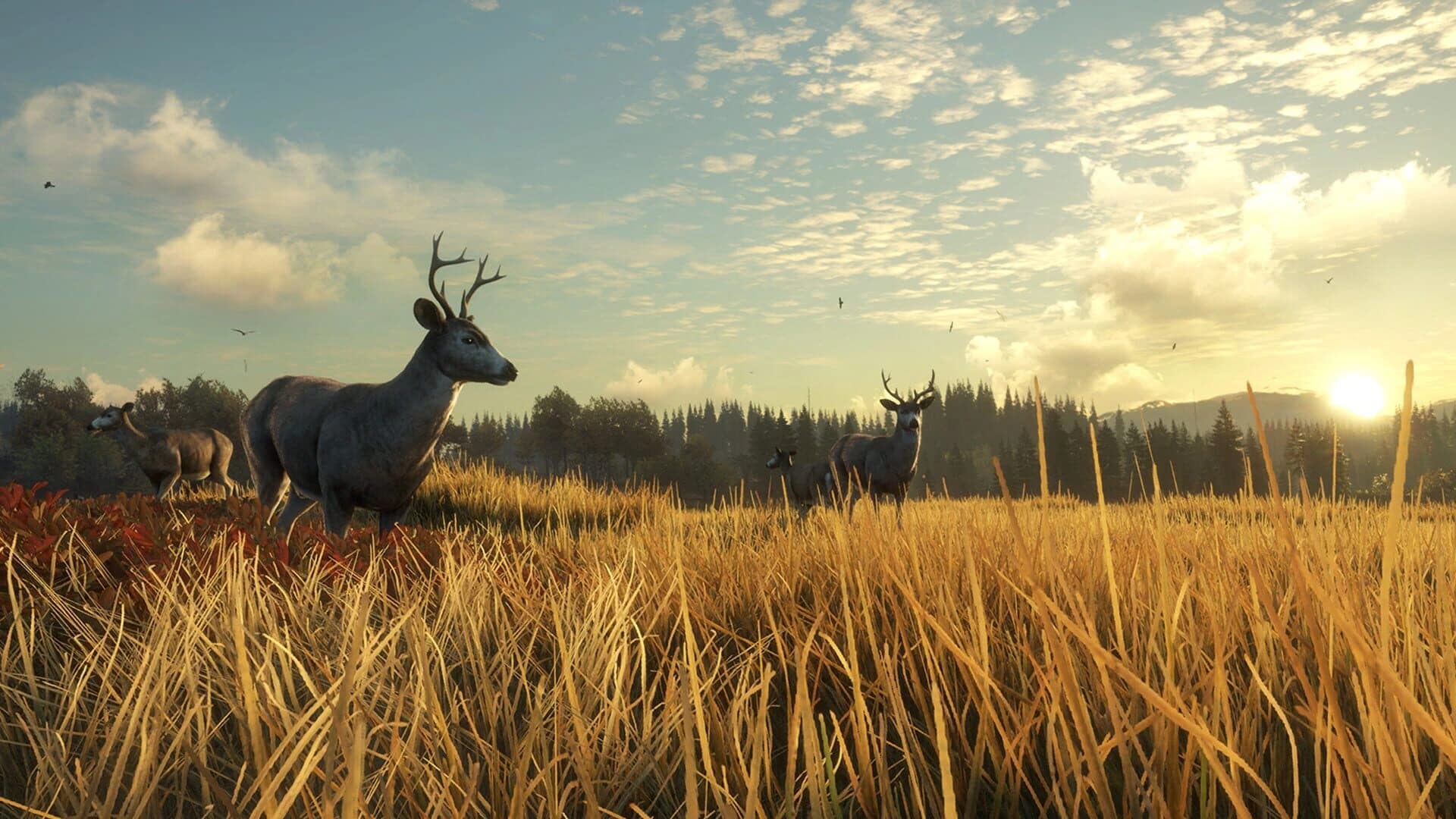 TheHunter: Call of the Wild - TruRACS screenshot 4