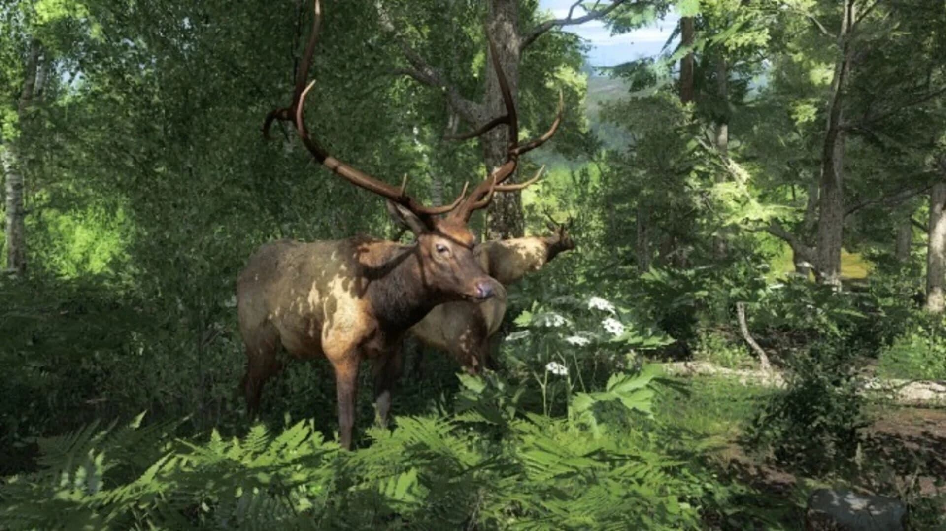 TheHunter Classic screenshot 4