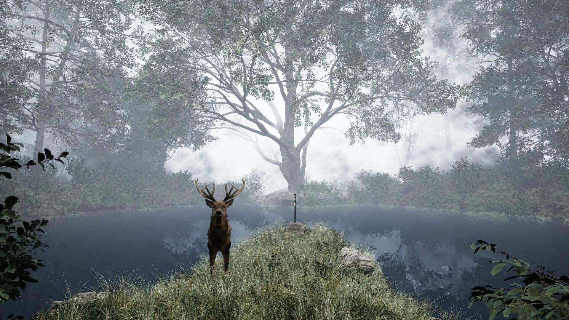 TheLostWoods screenshot 1