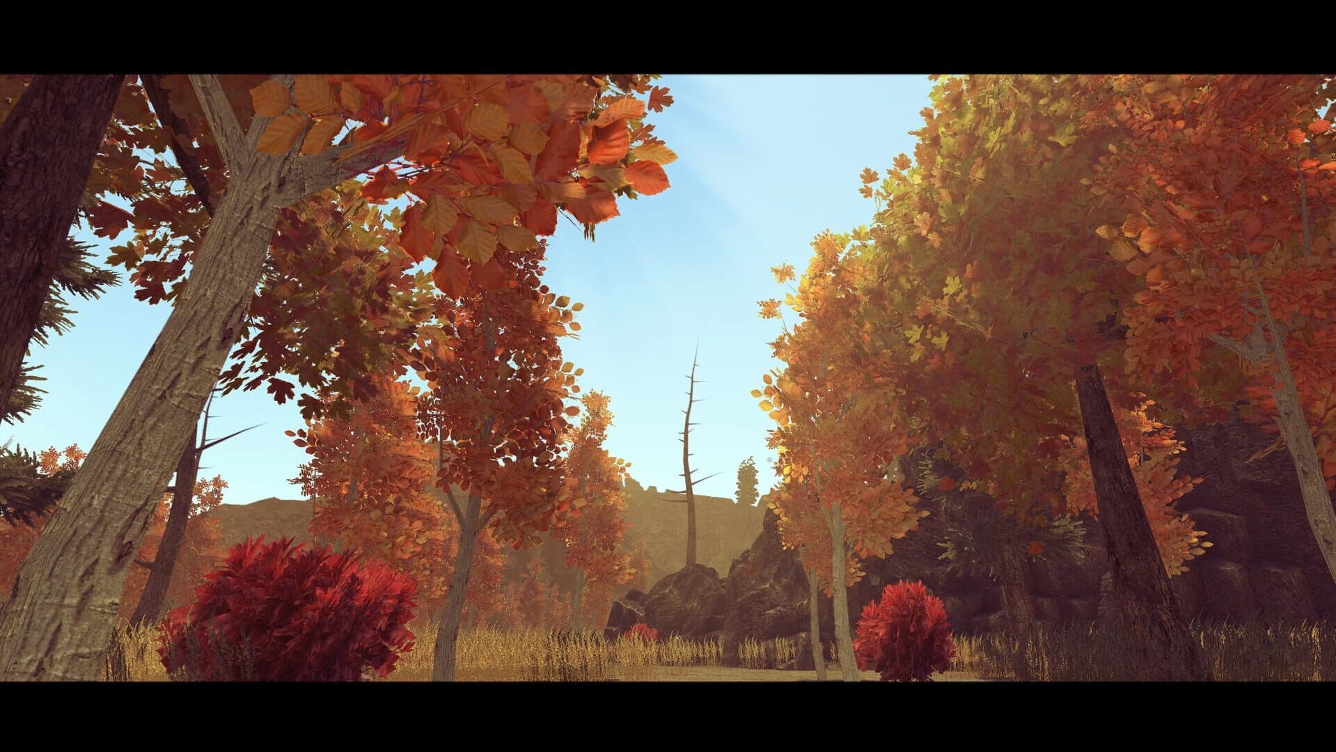 This is Forever screenshot 3