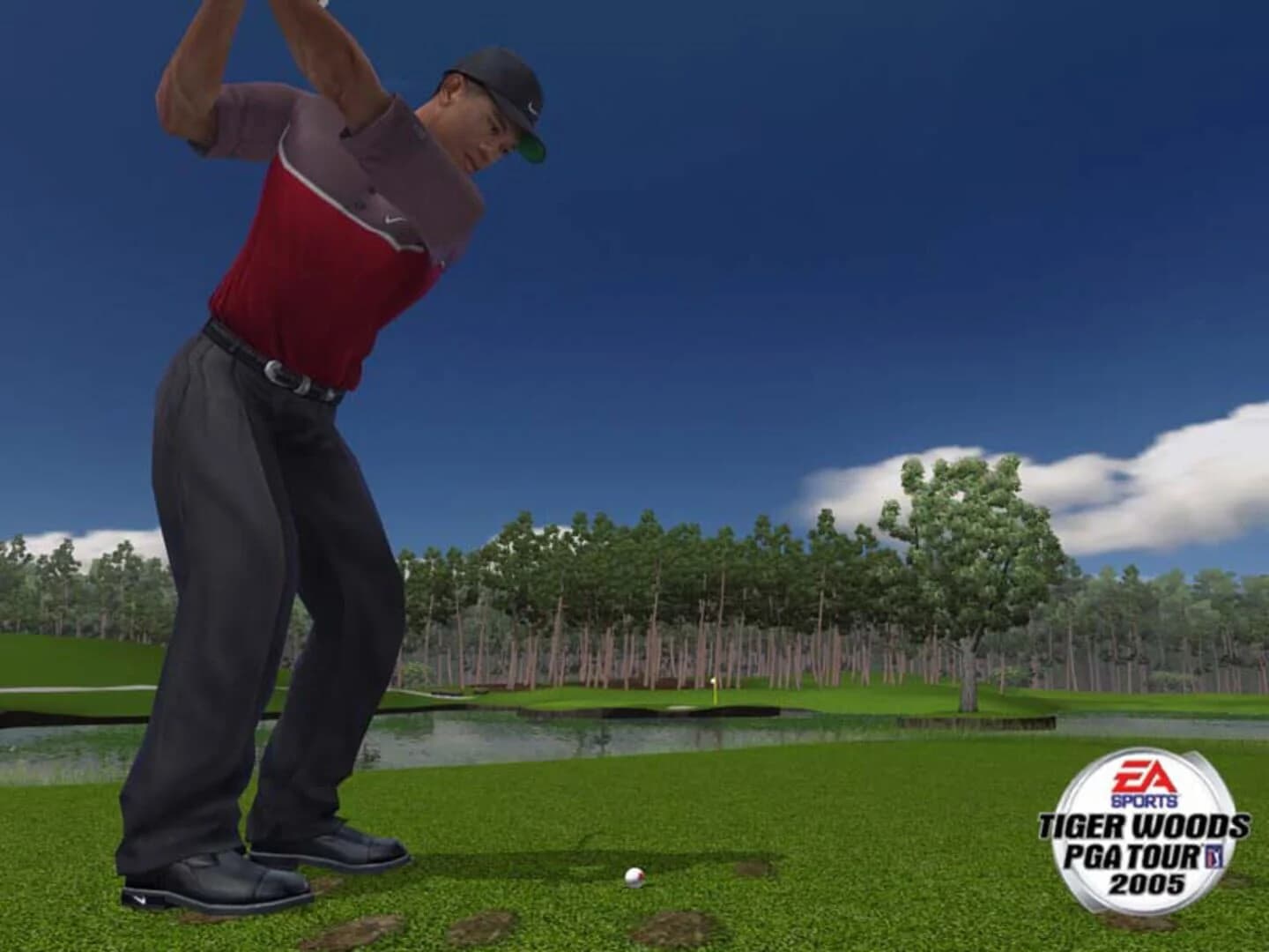 Tiger Woods PGA Tour 2005 screenshot 2