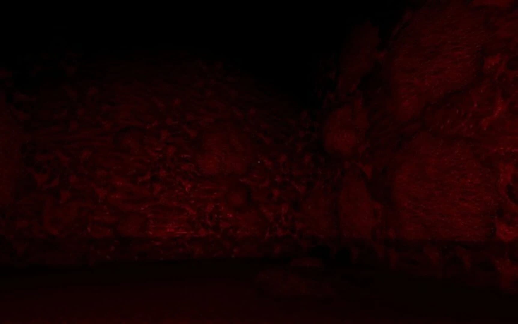 To Give Is To Force screenshot 4