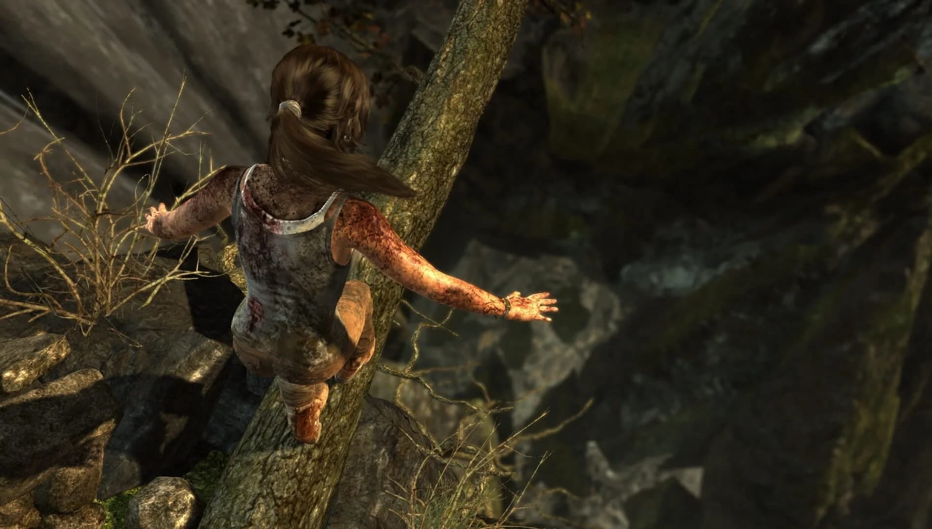 Tomb Raider: Definitive Edition screenshot 4