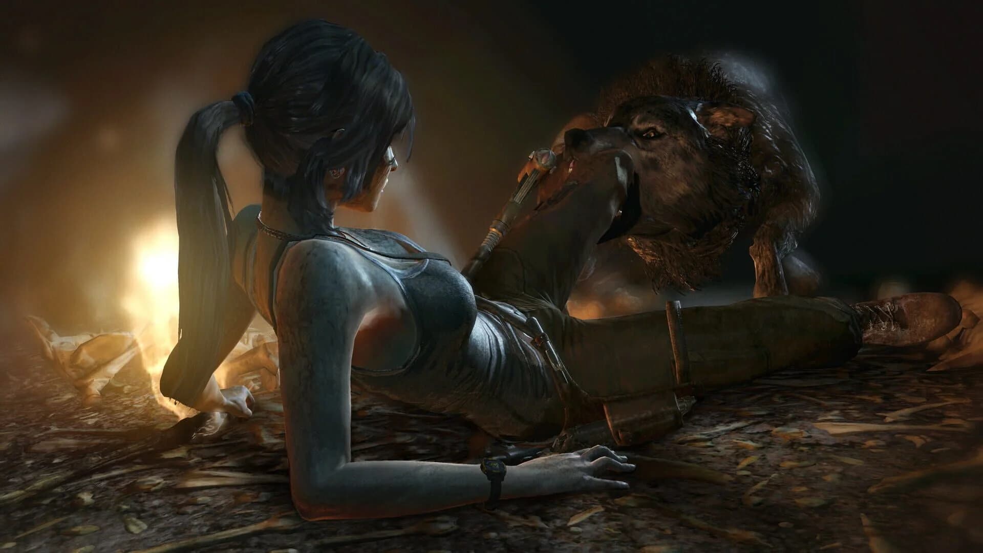 Tomb Raider: Game of the Year Edition screenshot 3